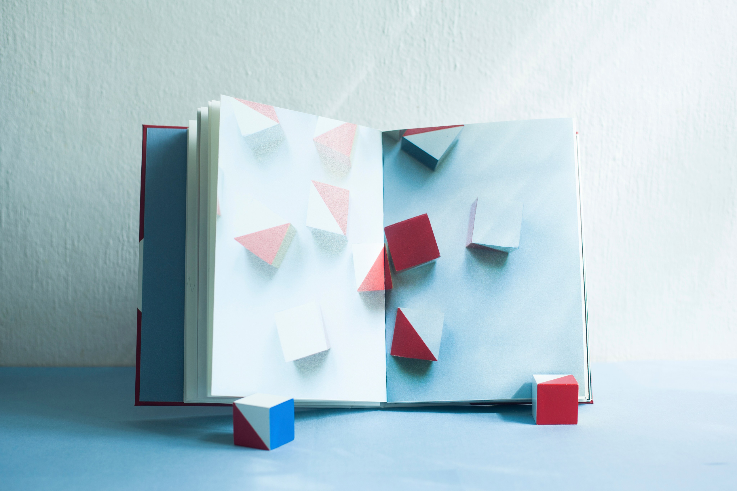 A book about the project. Aleksandra Mikhailova multimedia artist