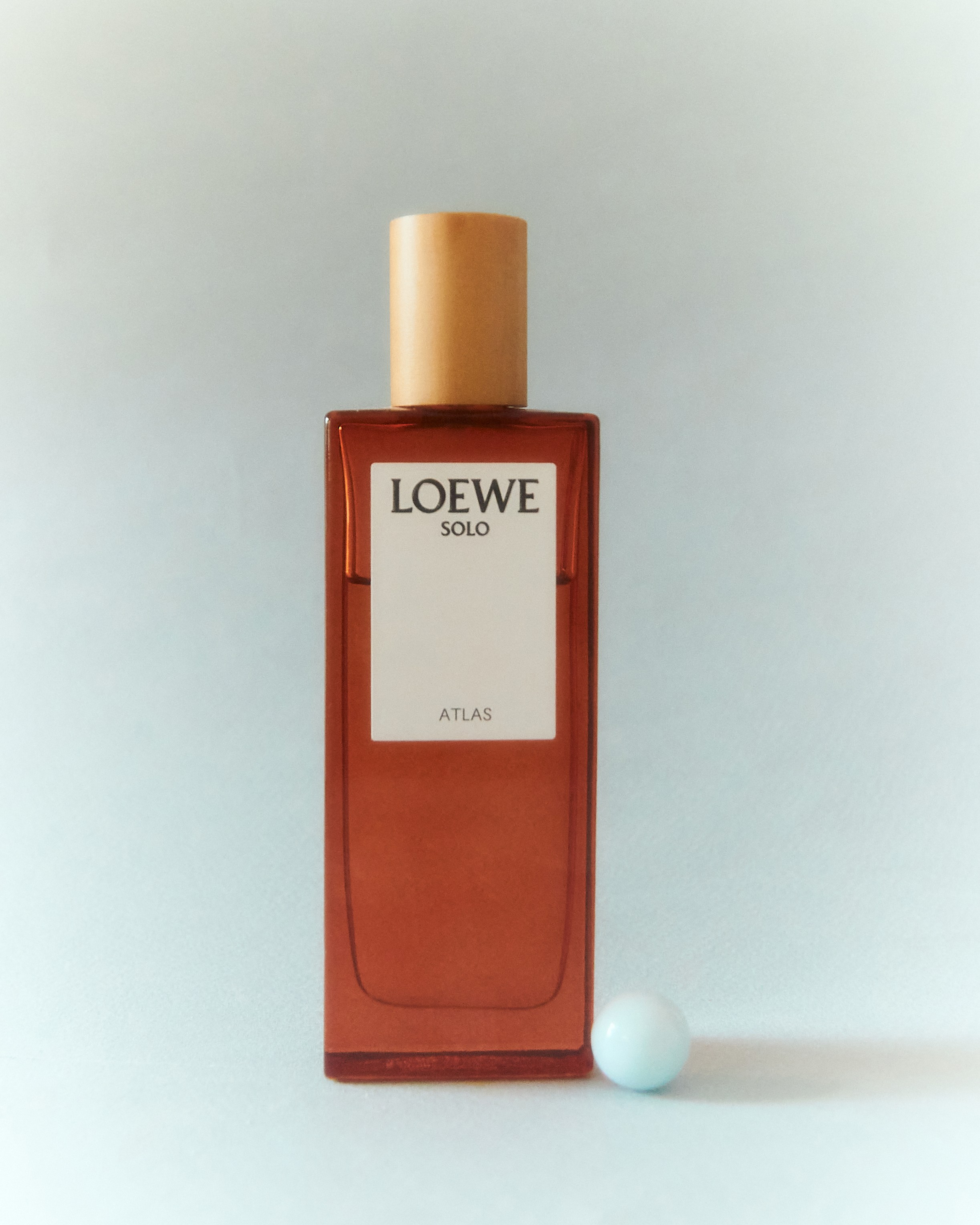 Loewe. Марина Алексеева | Фотограф | Москва