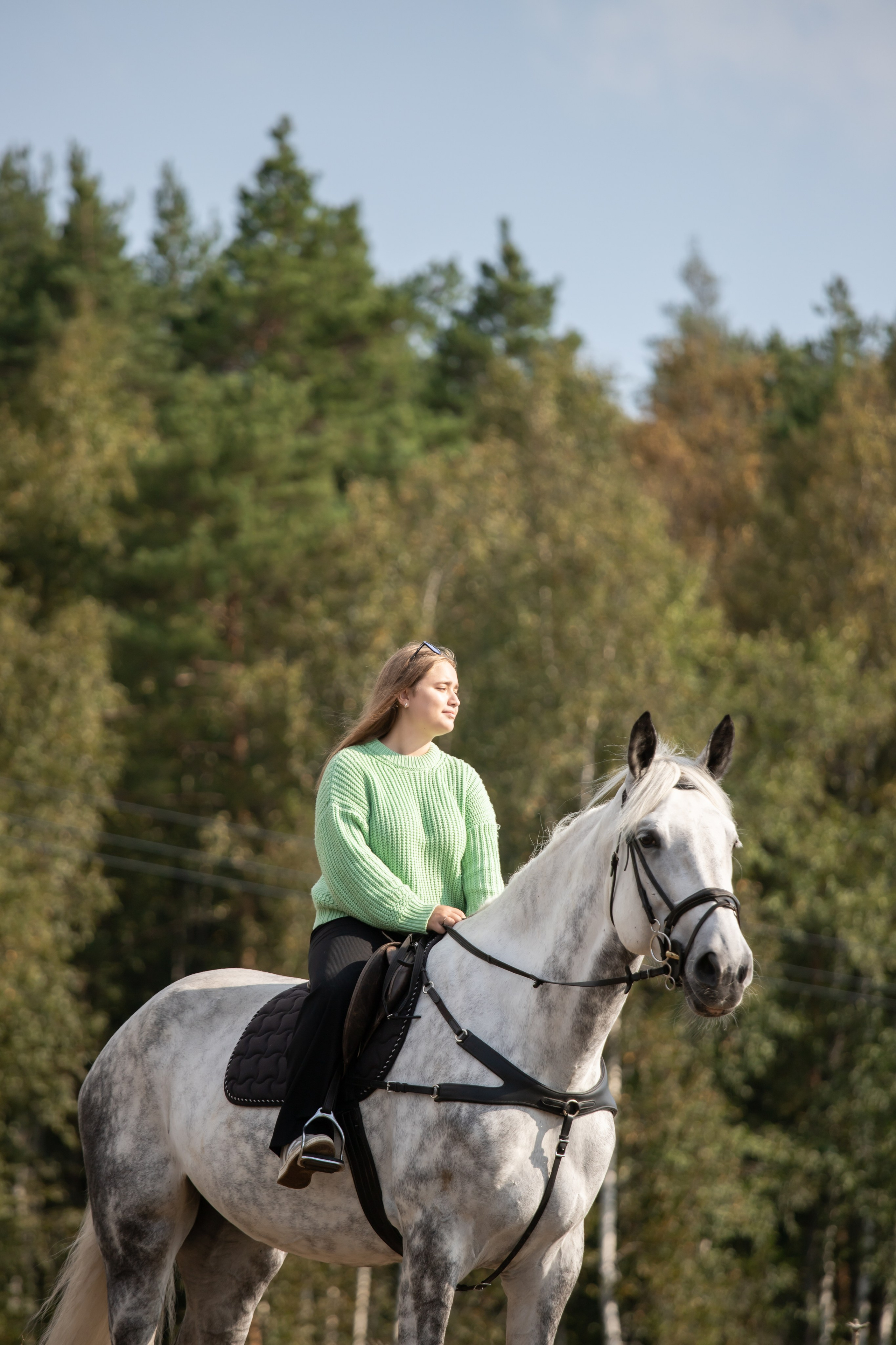 Фотопрогулки с Рич Бич. Конный фотограф в Санкт-Петербурге Анна Лебедева