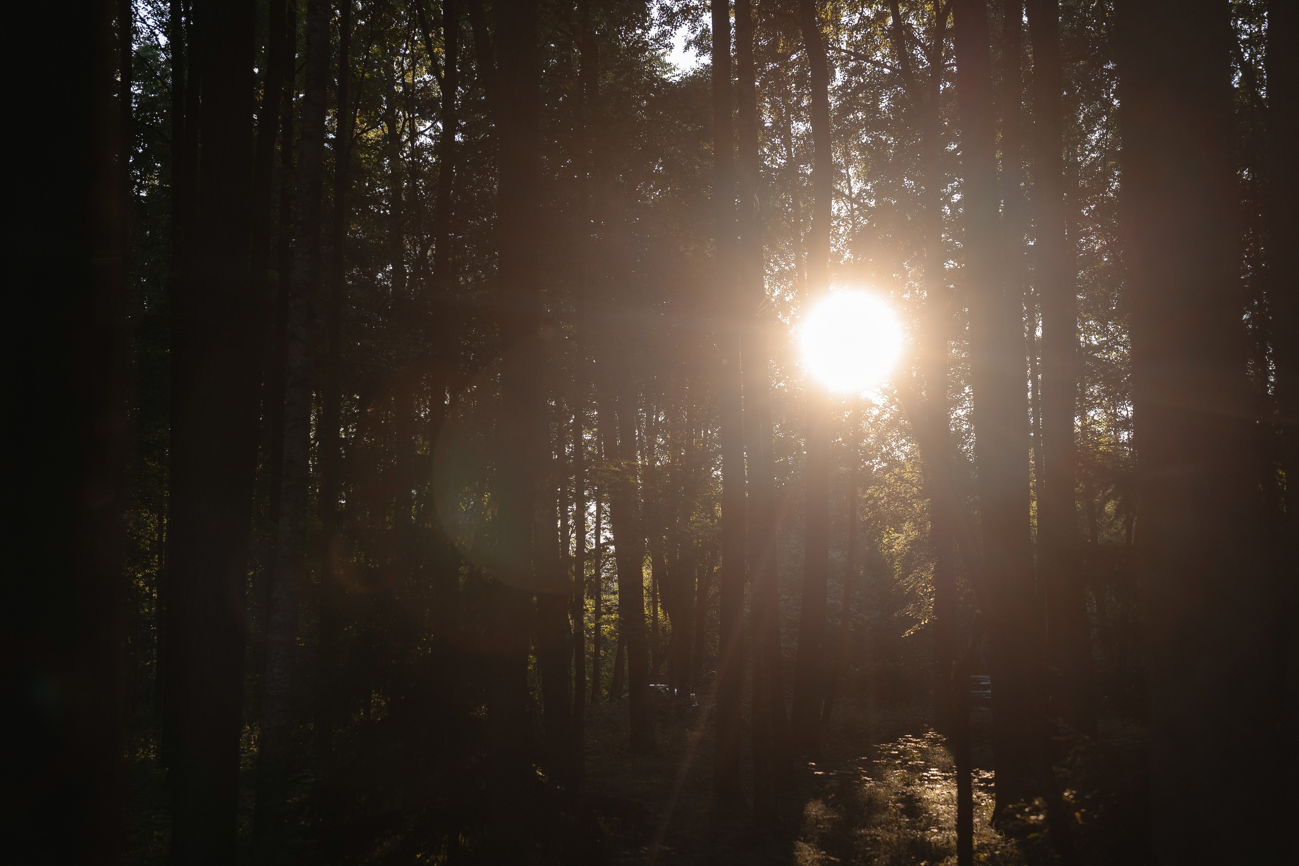 Леша и Маша. Свадебный и репортажный фотограф в Москве Андрей Вайман