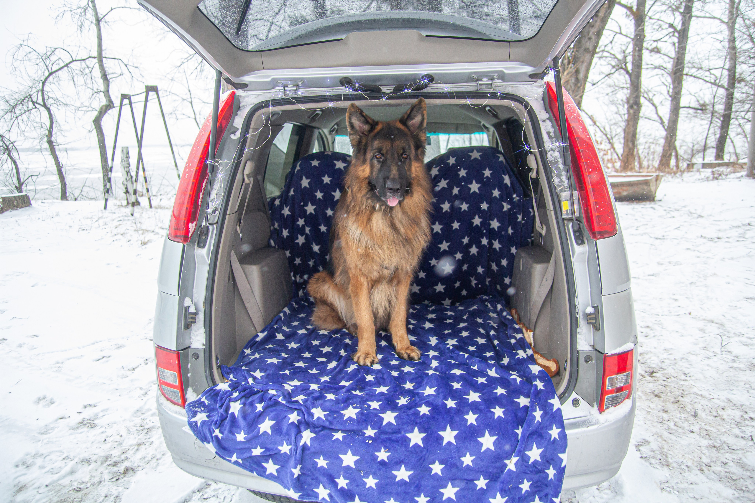 Выезд семьей. Фотограф в Хабаровске Юлия Чванова