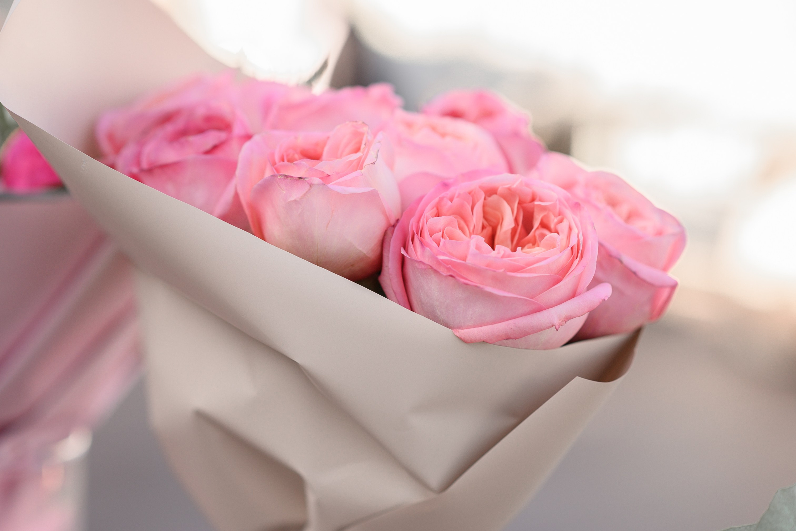 Professional wedding photographer in Kazan. Professional photographer Rustam Aflyatunov from Kazan