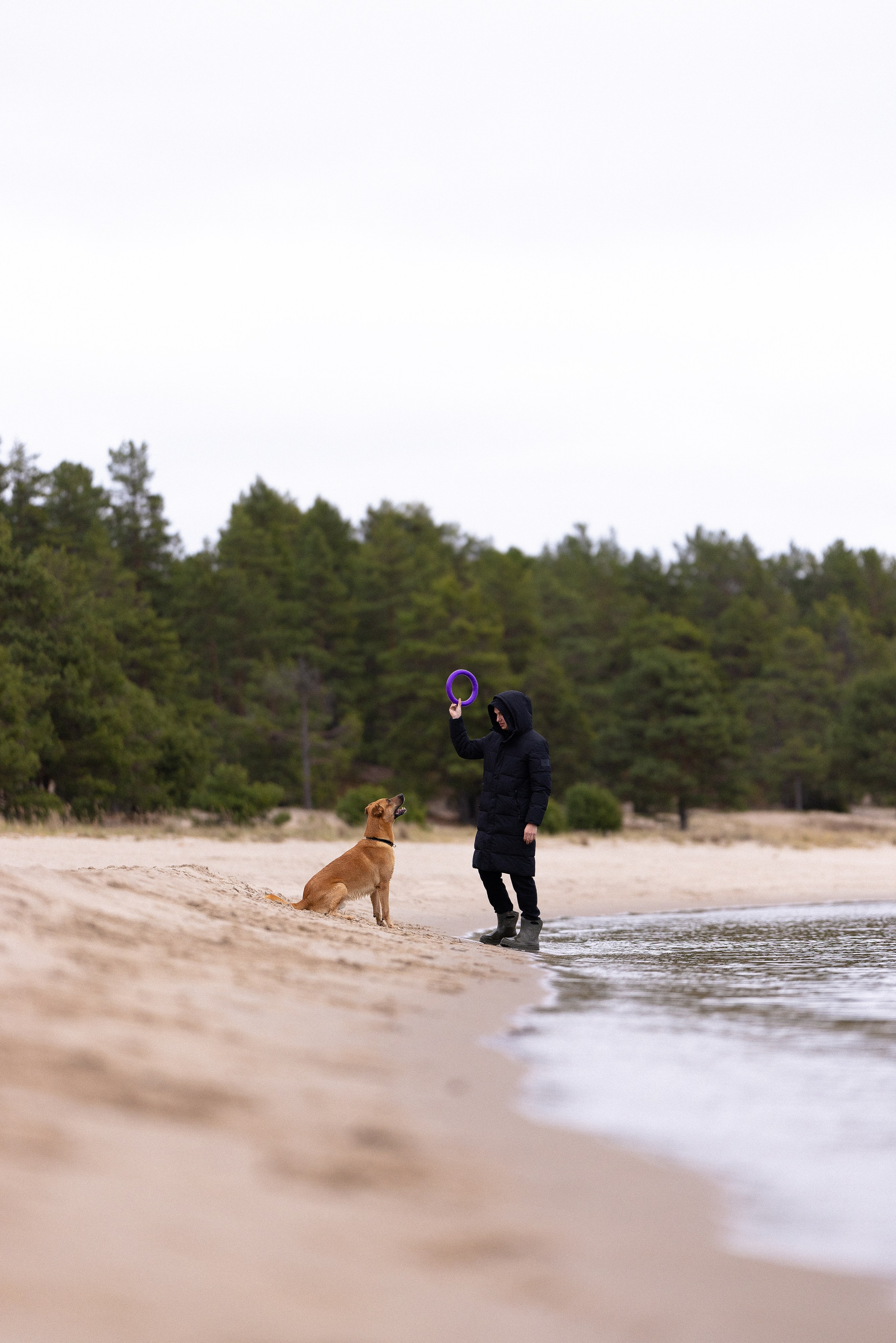 Karelia. Фотограф и видеограф анималист Аганина Дарья