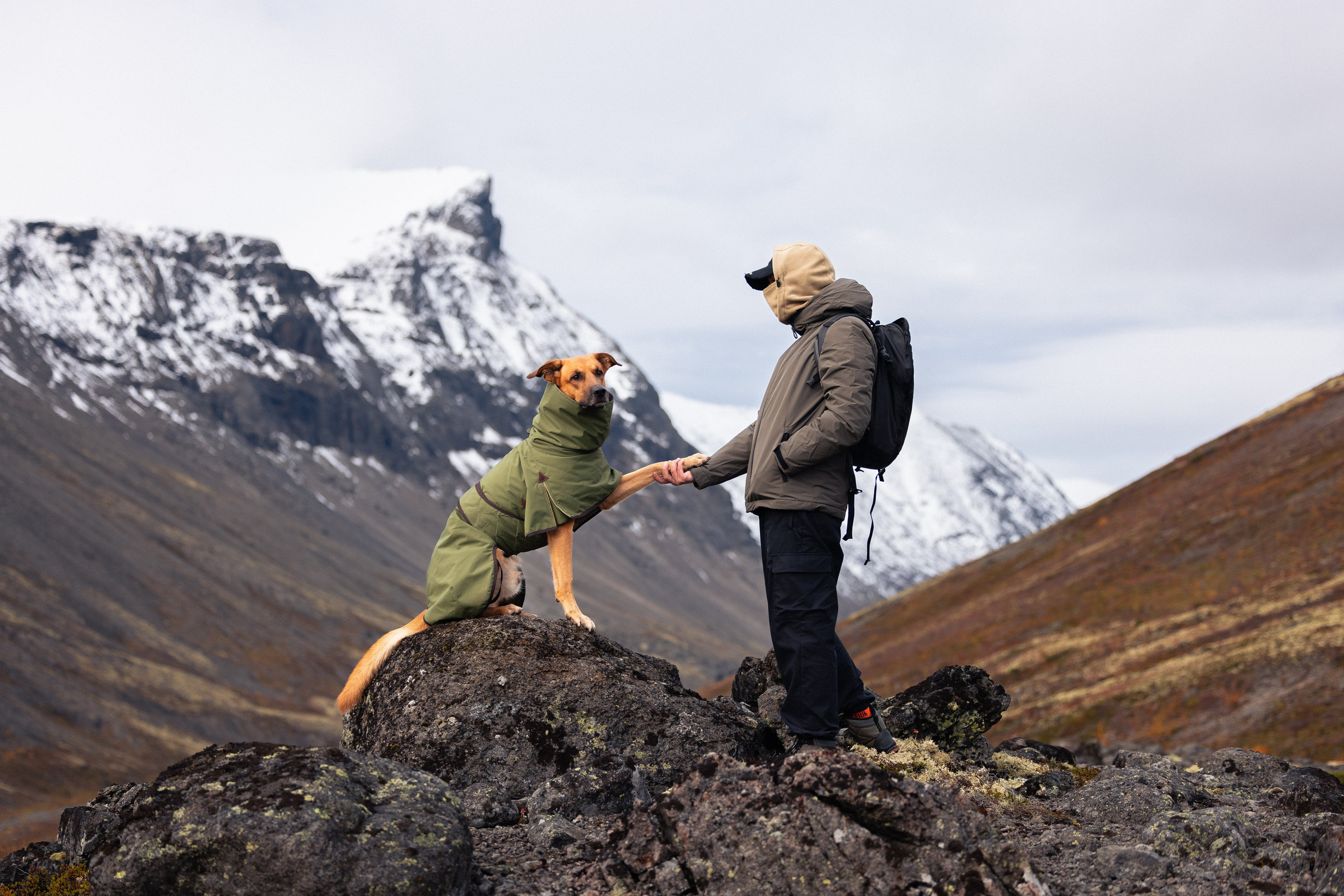 Кольский. Фотограф и видеограф анималист Аганина Дарья