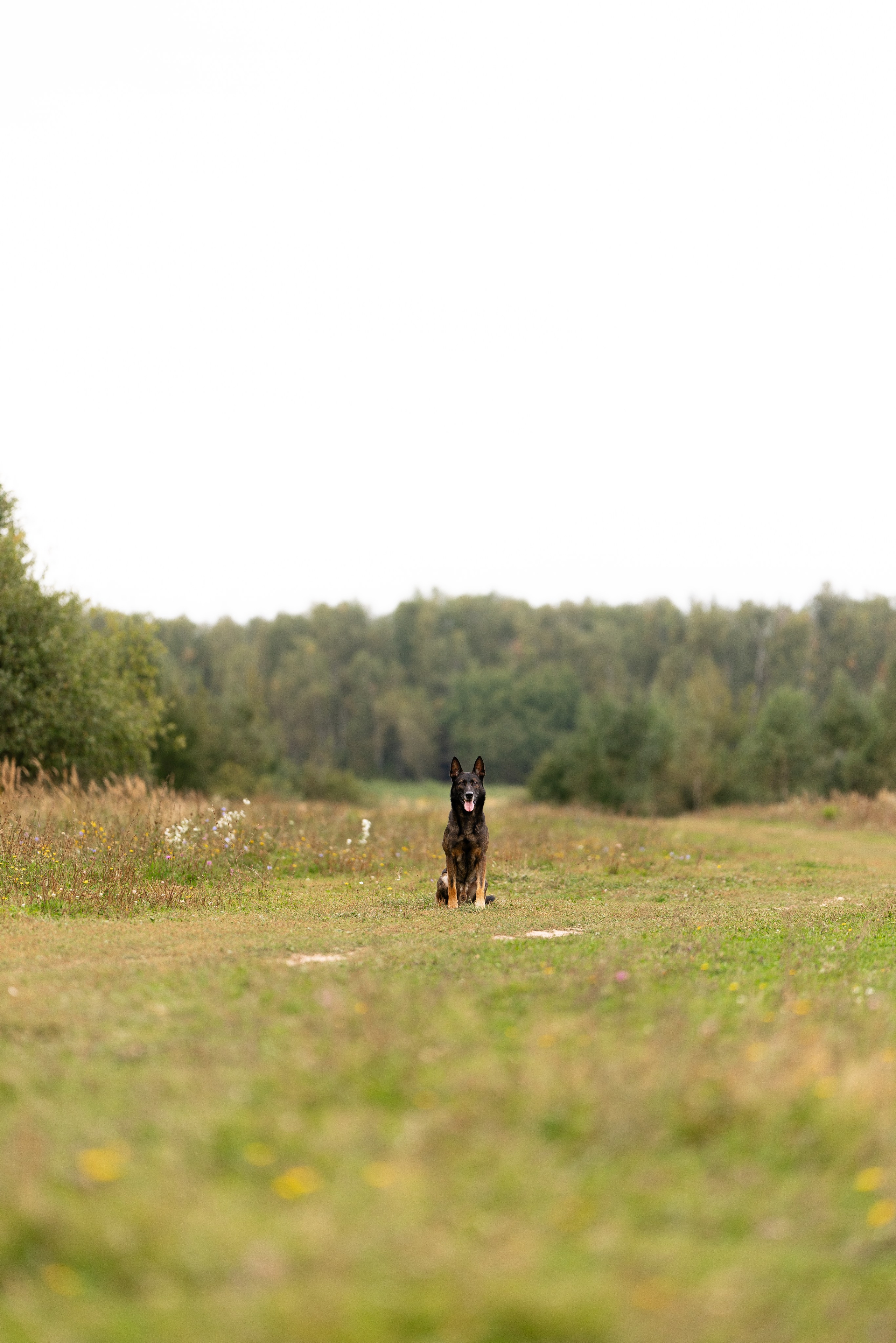 Макс. Фотограф и видеограф анималист Аганина Дарья