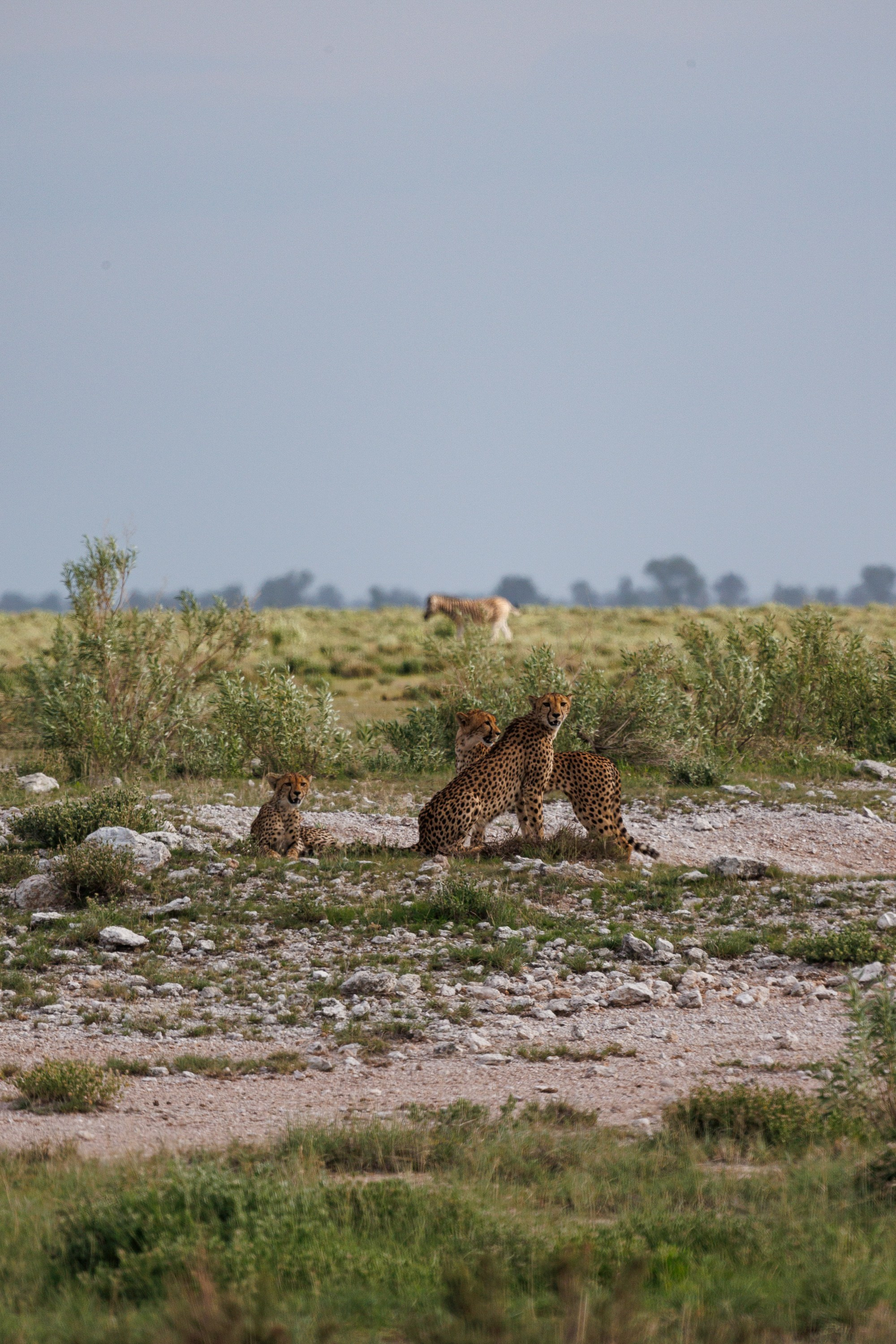 НАМИБИЯ. Роадтрип