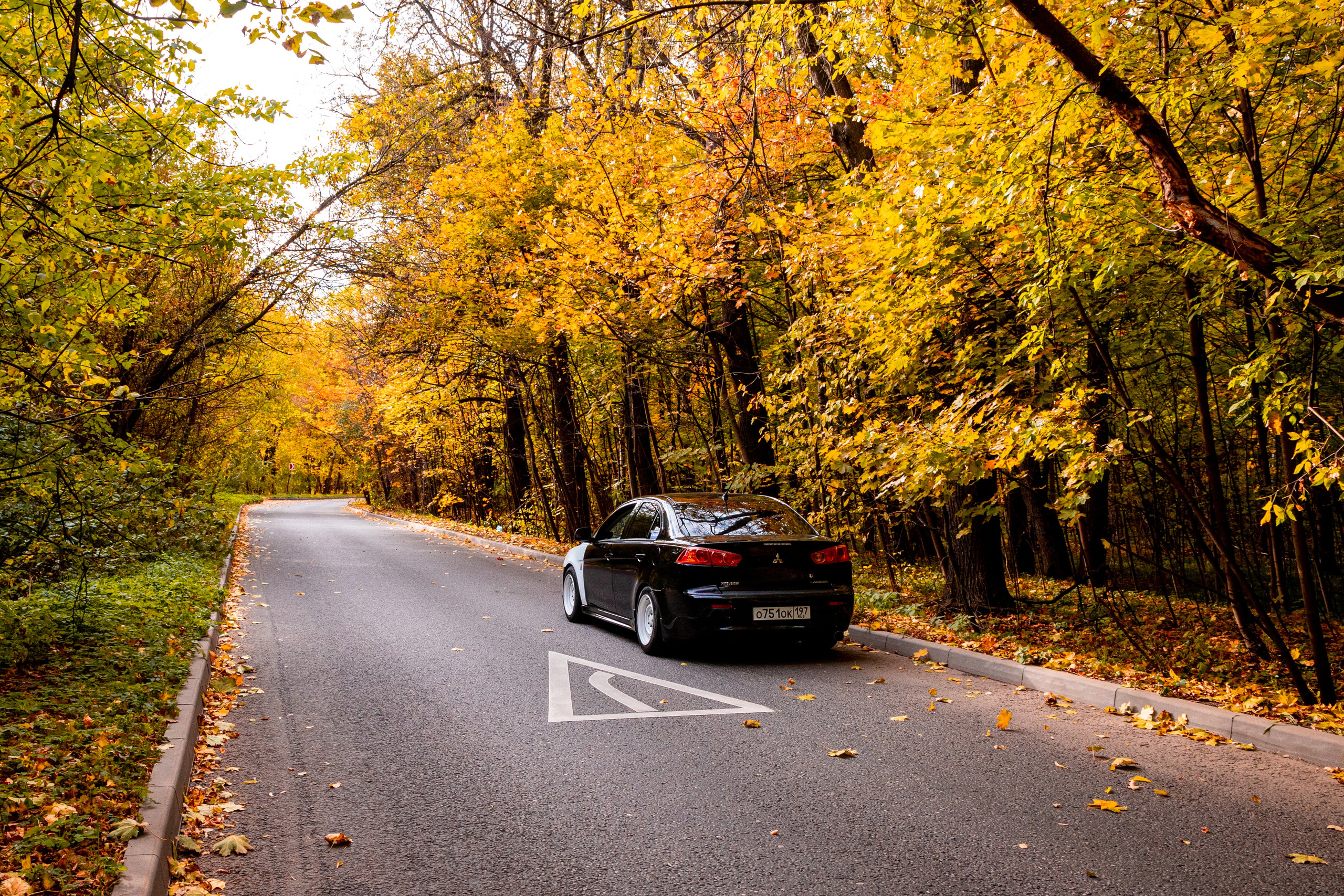 Lancer. Фотограф Анастасия Сонина