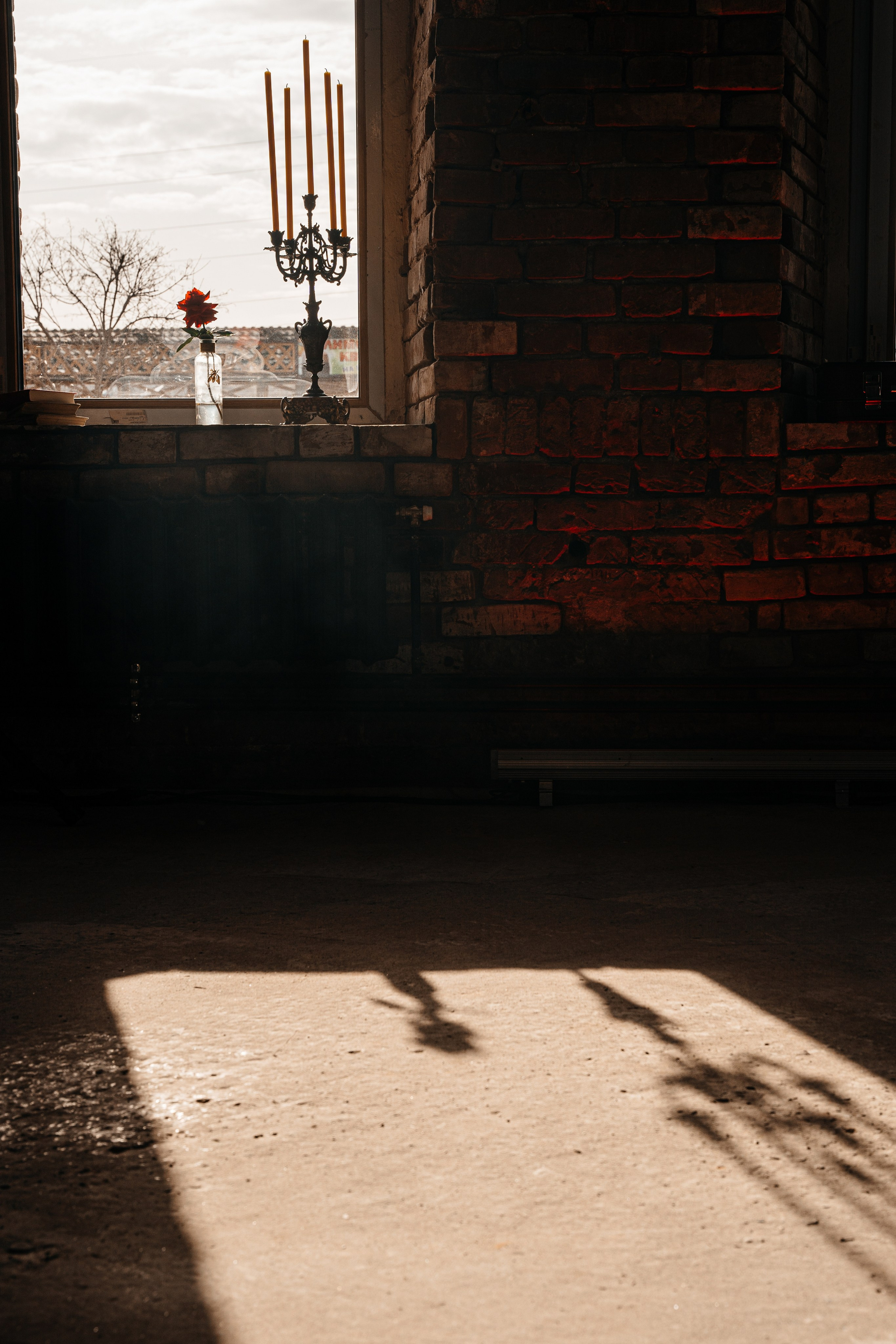 ПРОЕКТ ТЕОРИЯ. Свадебный фотограф Барнаул Алексей Павлов