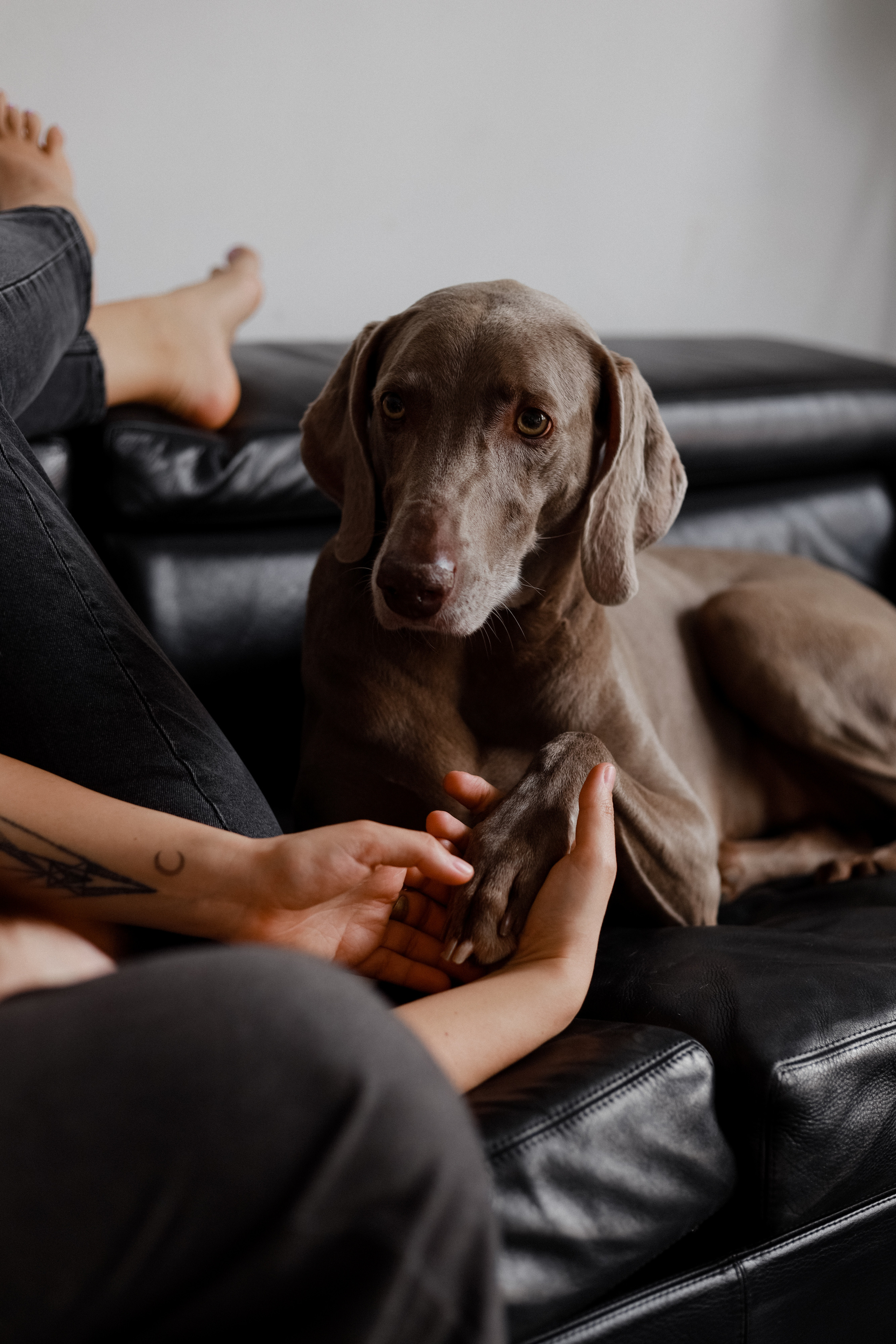 Облачная классика. Варвара Синицына: семейный фотограф в Москве