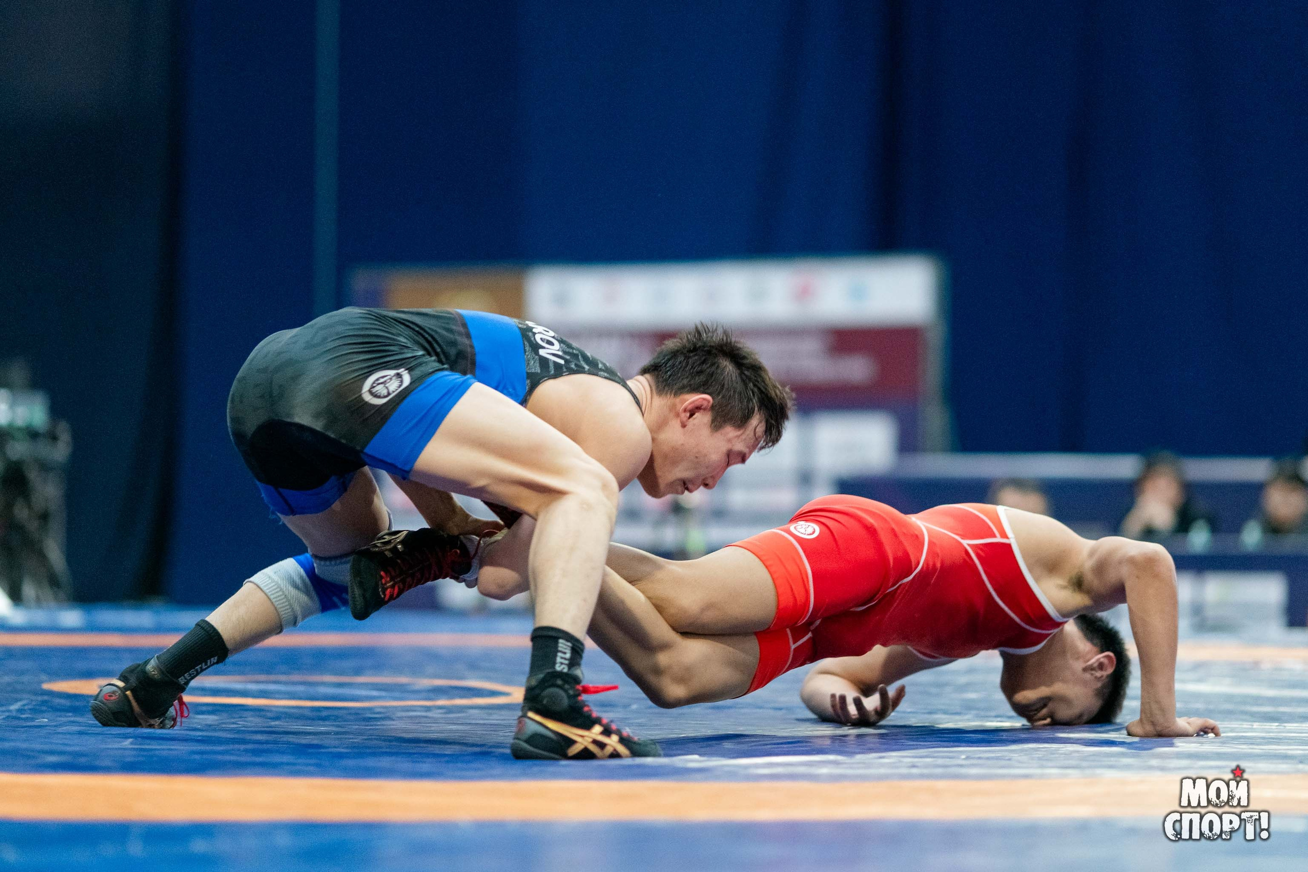 XII Международные соревнования по спортивной борьбе пам. Р. М. Дмитриева. Студия «Мой Спорт!» — все о спорте в Якутии