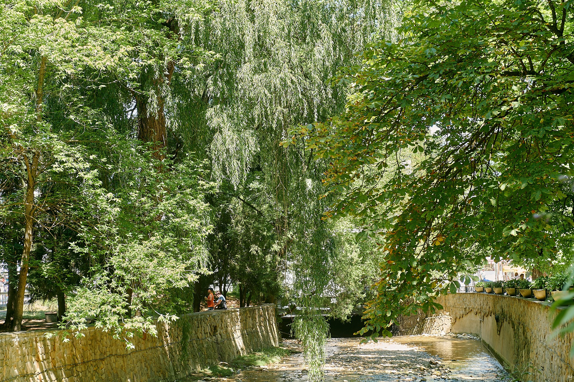 Кисловодск, Россия. Август 2024. Фотографии отовсюду и обо всем