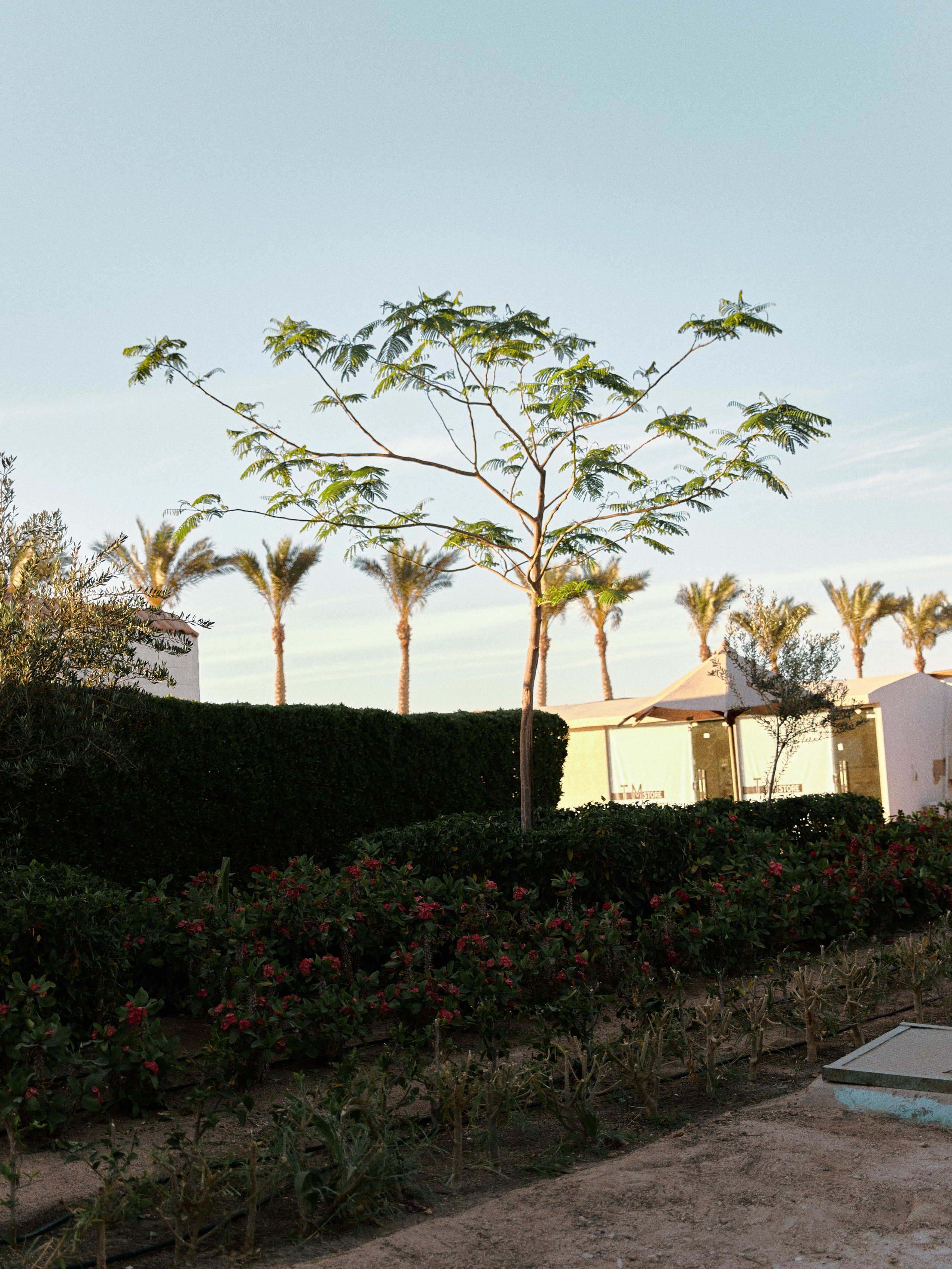 Другое. Jorgis Talè — photographer, kind person, teacher of arts and other mag