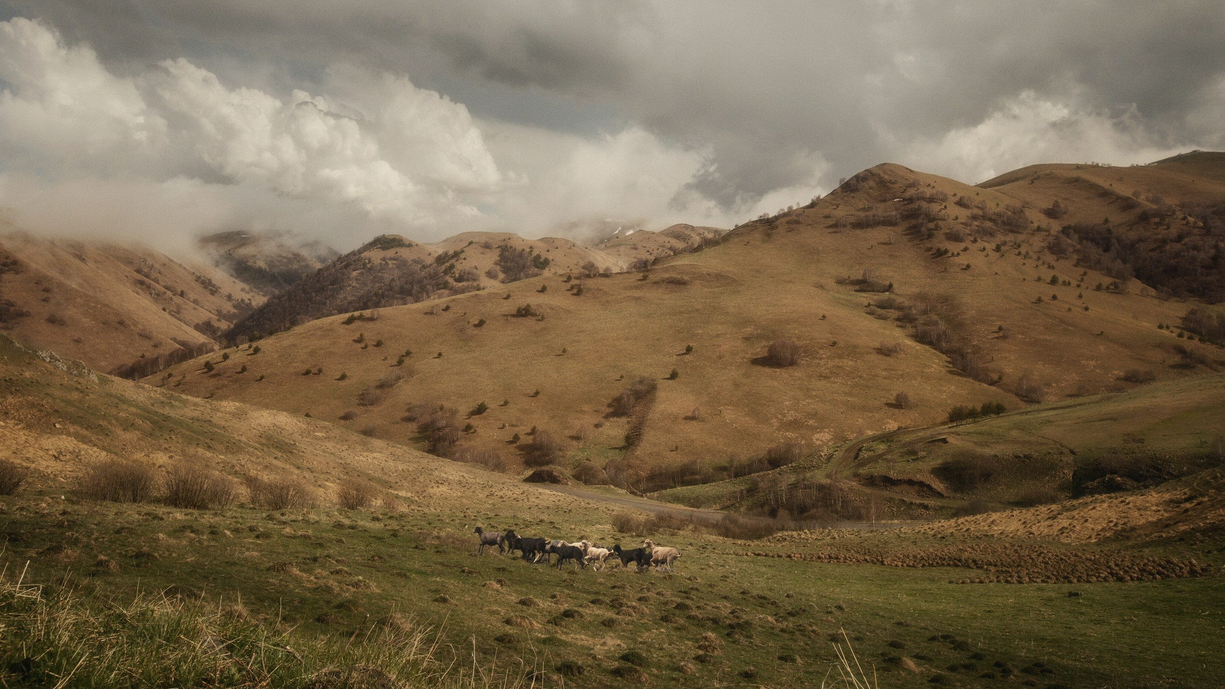Пастырь добрый. Фотограф и режиссер Сергей Спирин. Москва