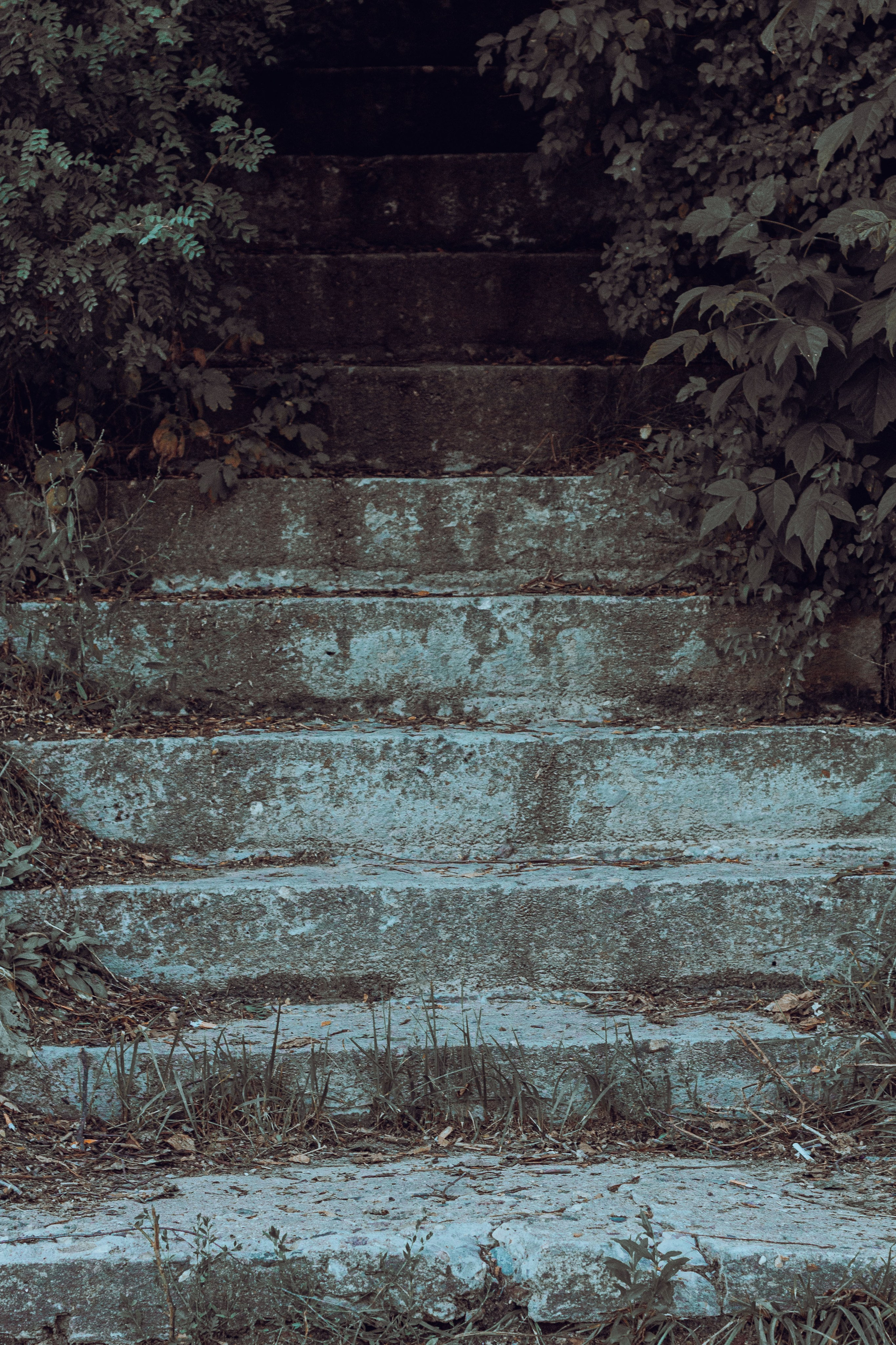 Репортаж. Фотограф Москва, портрет, стрит, репортаж. Художественная фотосессия