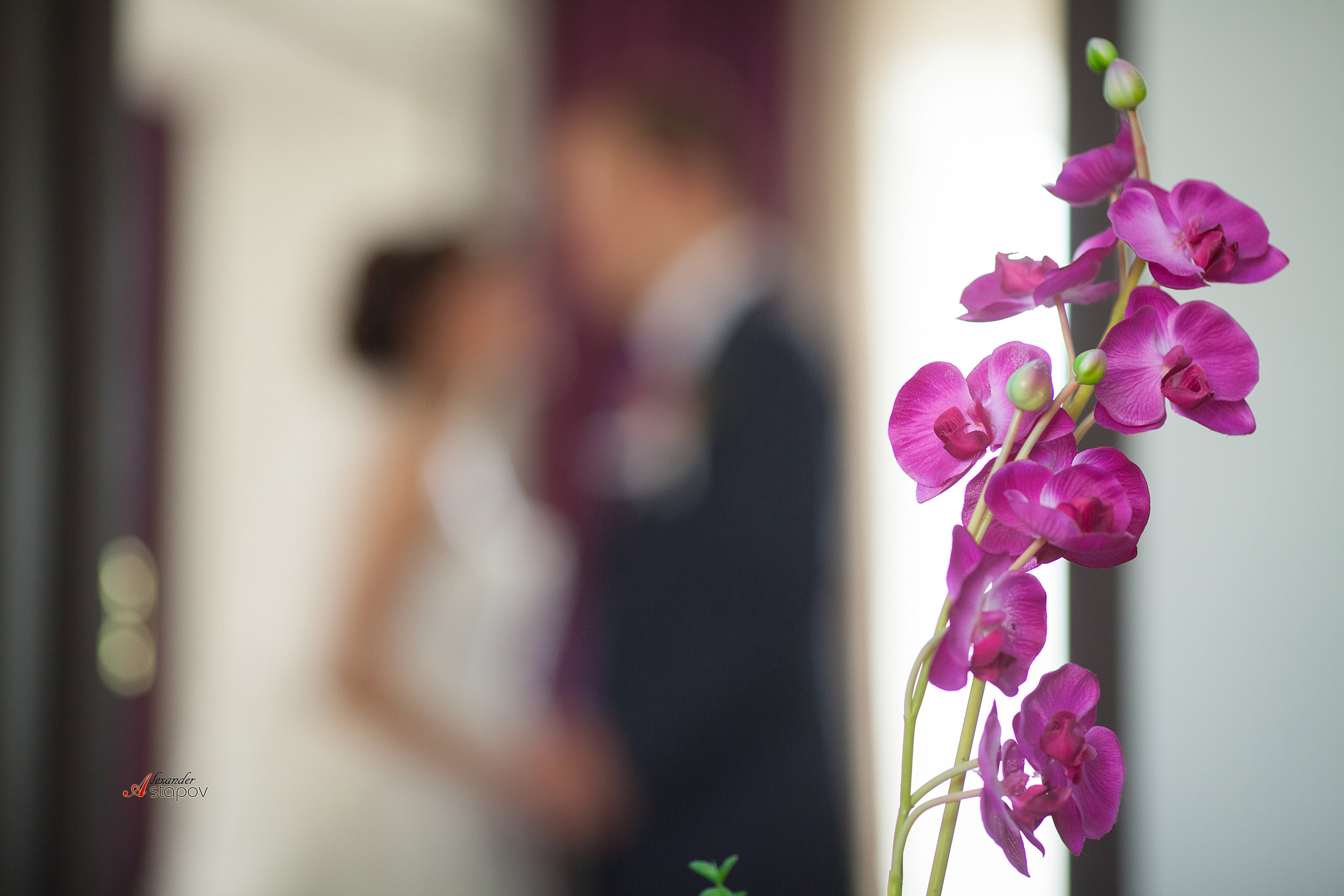 СНИМКИ. Семейный и Свадебный фотограф в Астане Александр Астапов