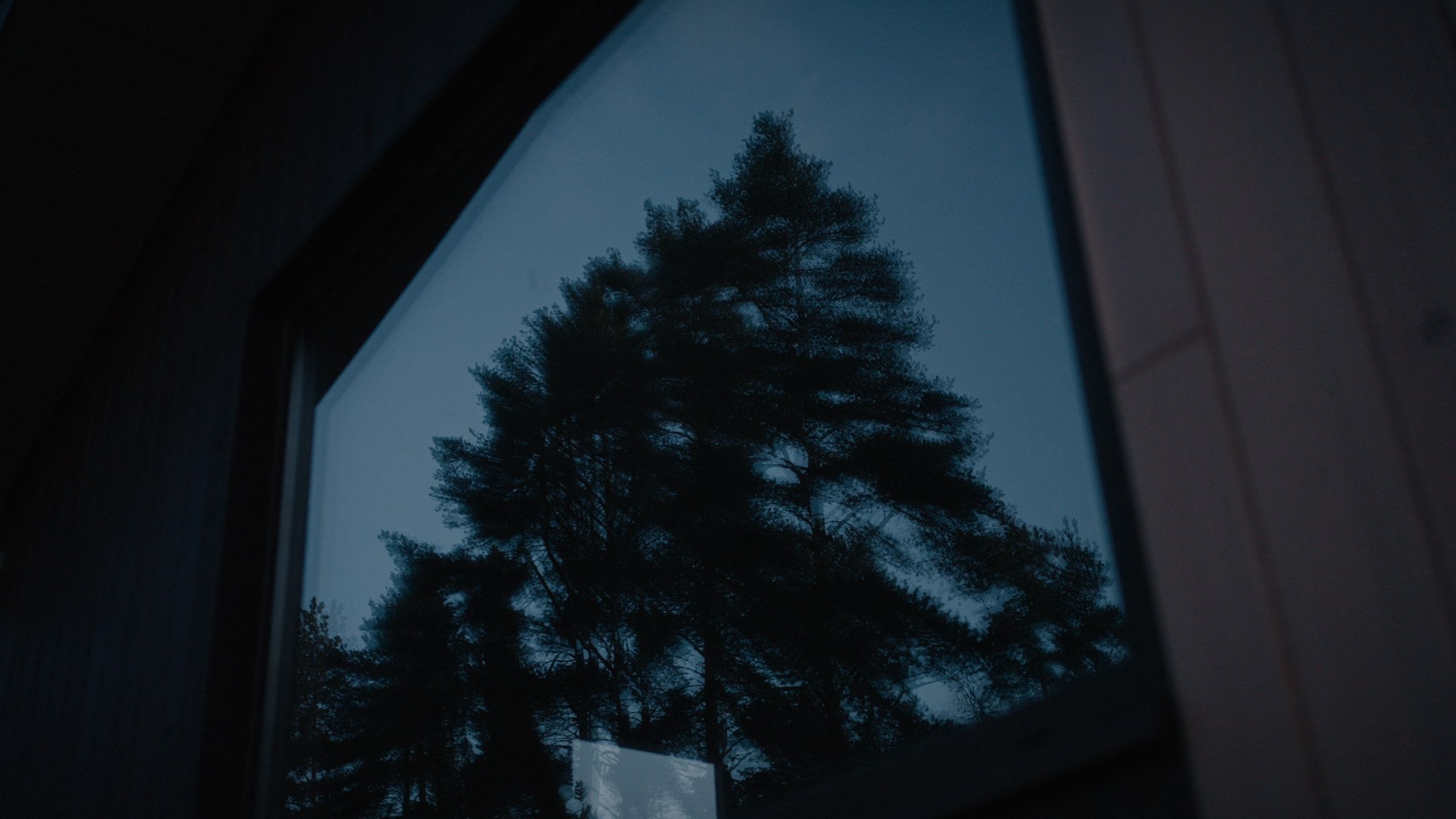 Тихолесье — Ваш дом и уют (promo). Цветокоррекция видео онлайн Иван Сержанов