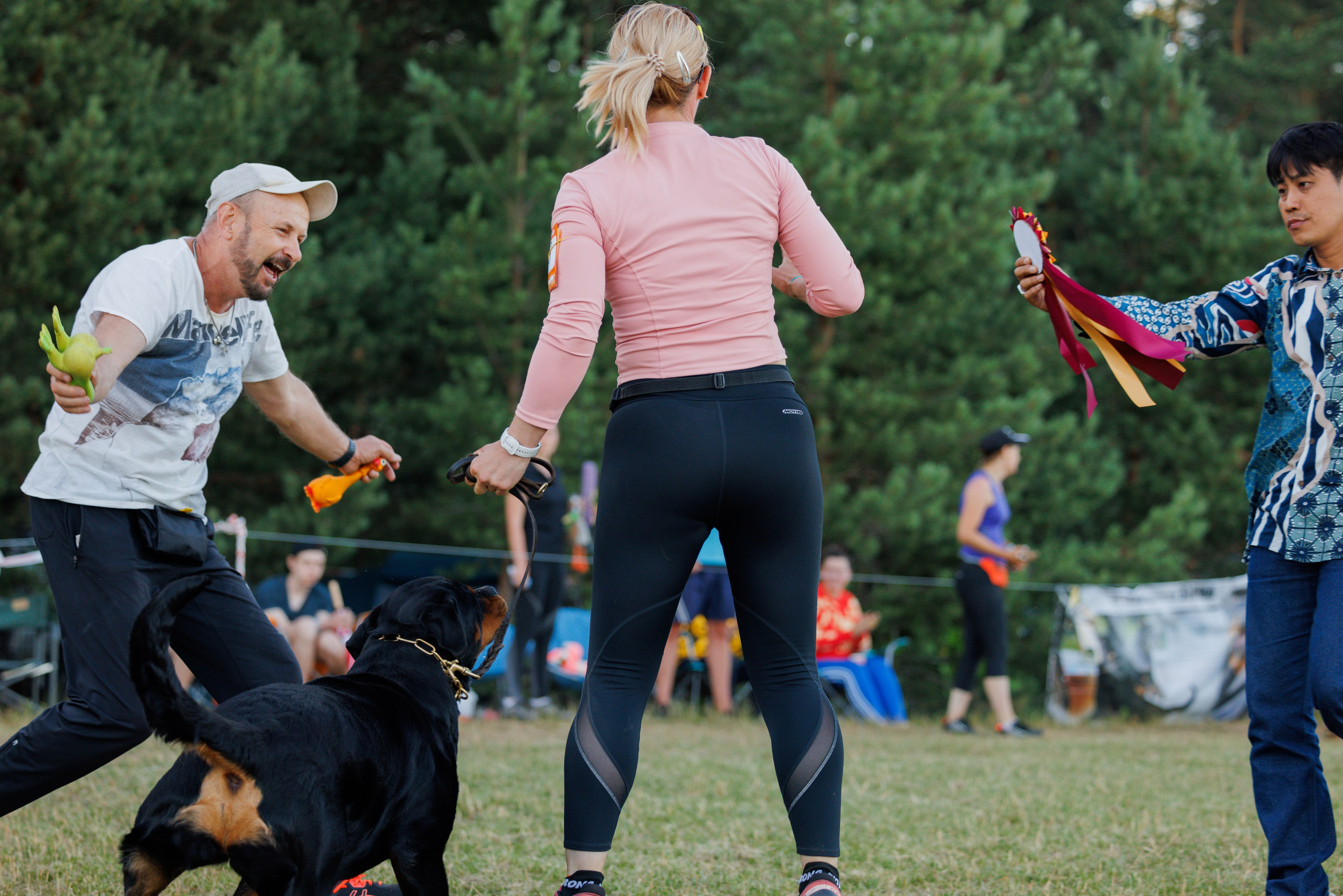 ПК и КЧК ротвейлеры Тверь 6-7.07.2024. Фотограф-анималист Юлия Германика