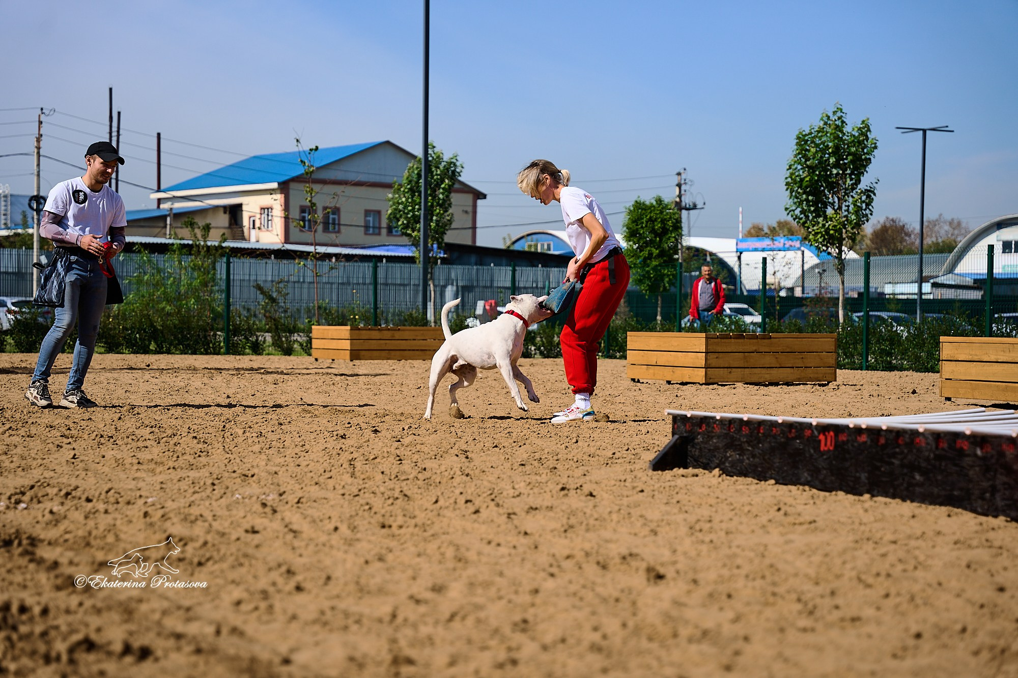 Питстафф многоборье. Фотограф-анималист в Иркутске