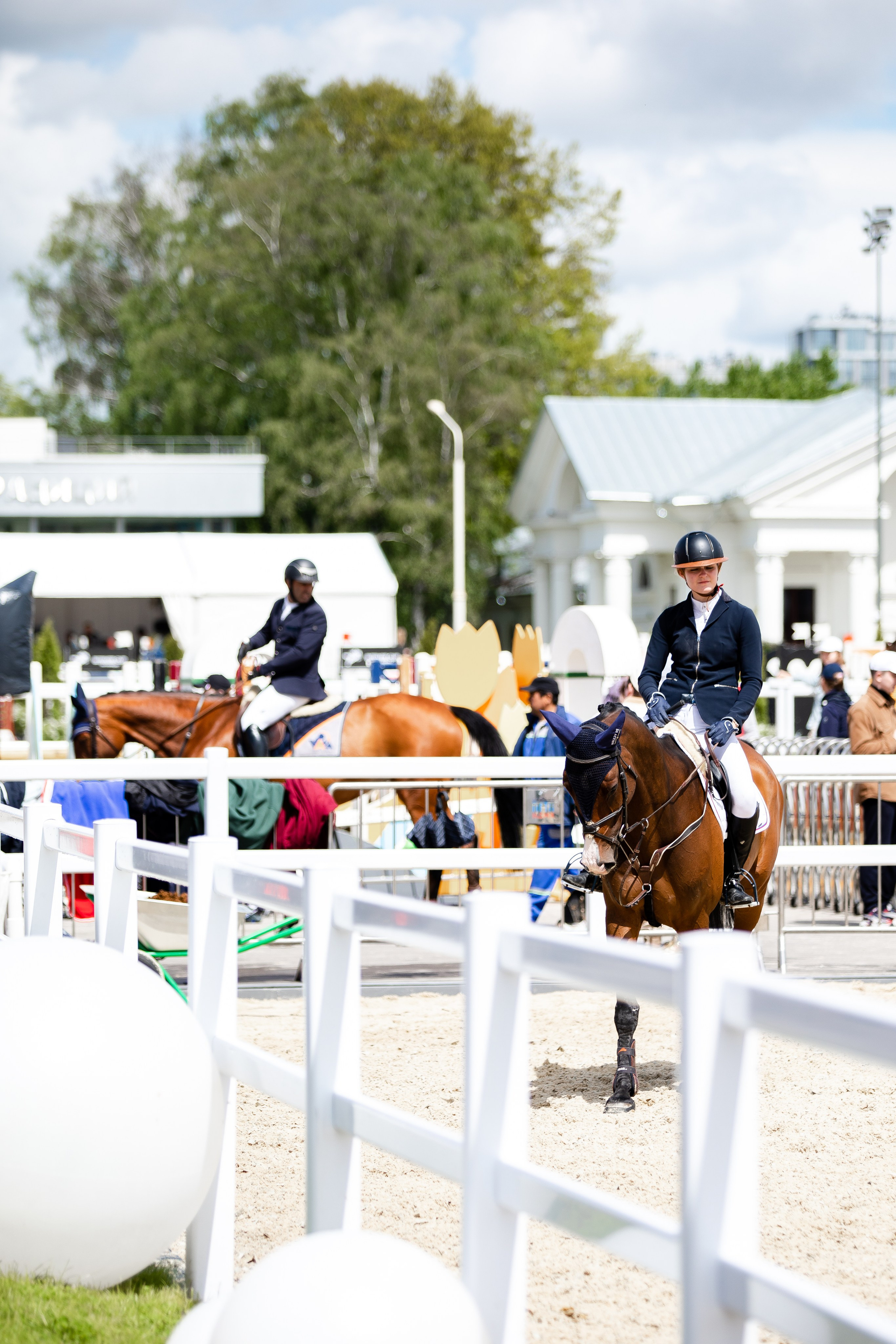 Турниры. Veronika Makeeva horse photo