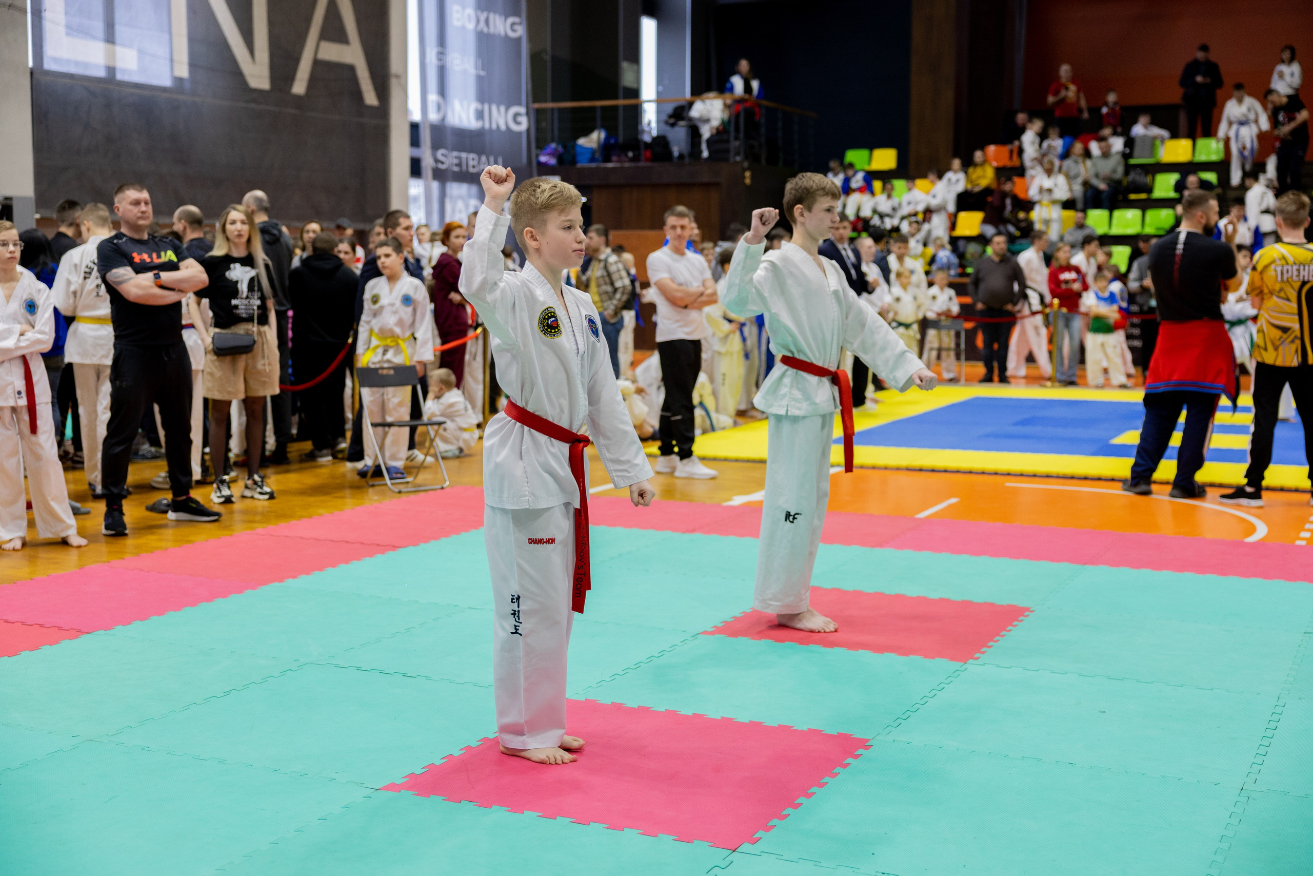 Тхэквондо. Питерский фотограф