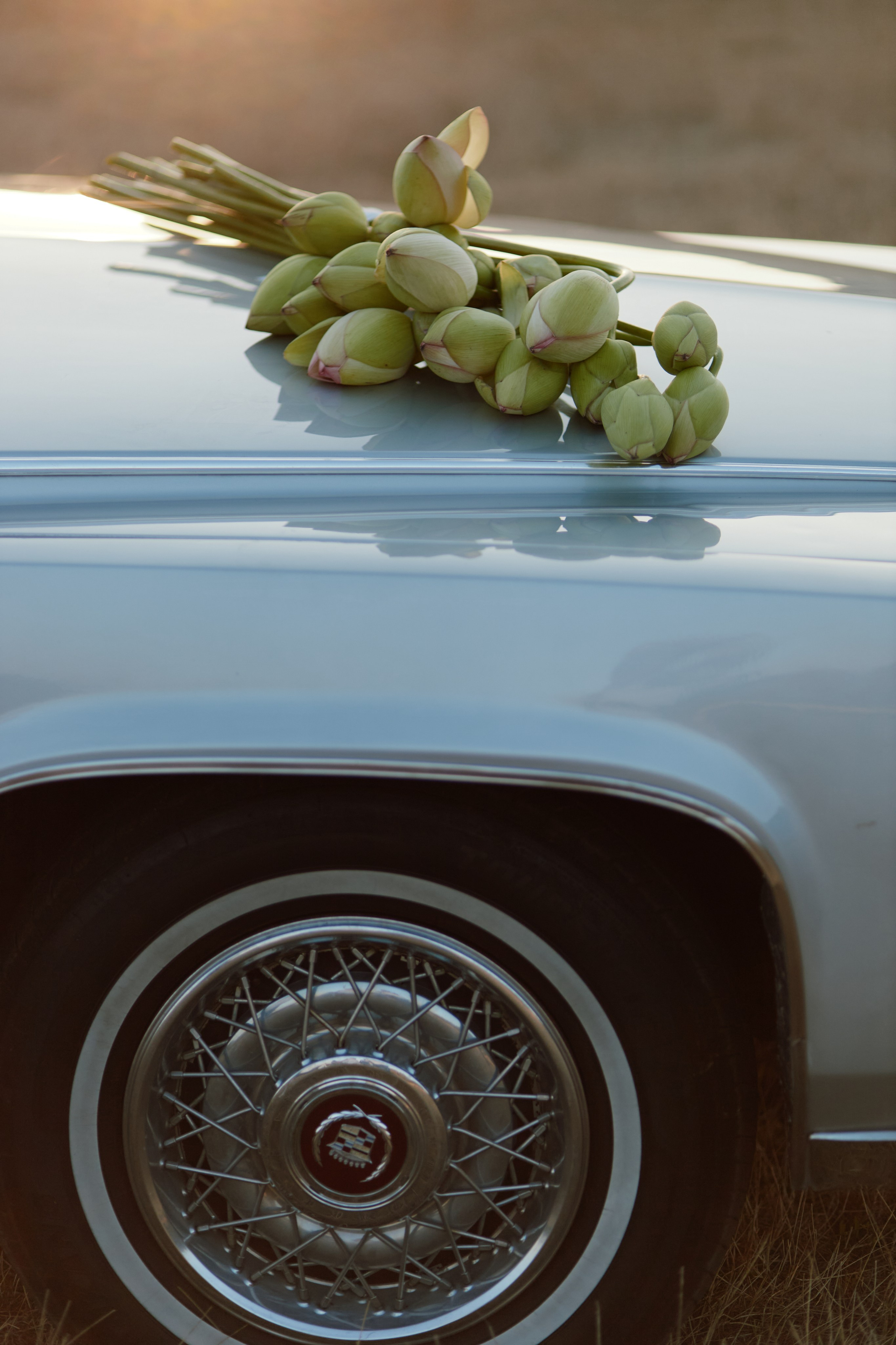 Один день. Фотограф Краснодар