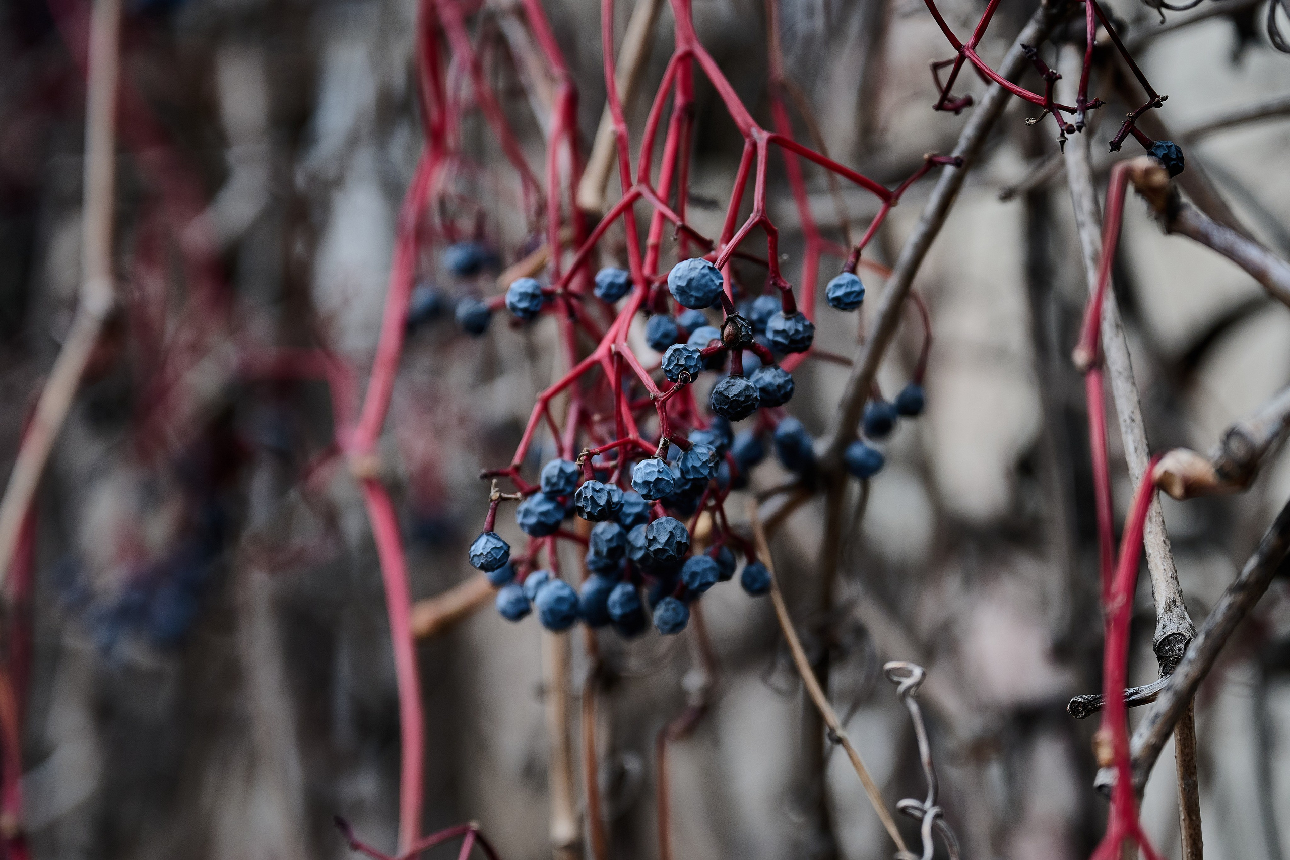 Лисичанск. Луганская область. Фотопроект «Территории»