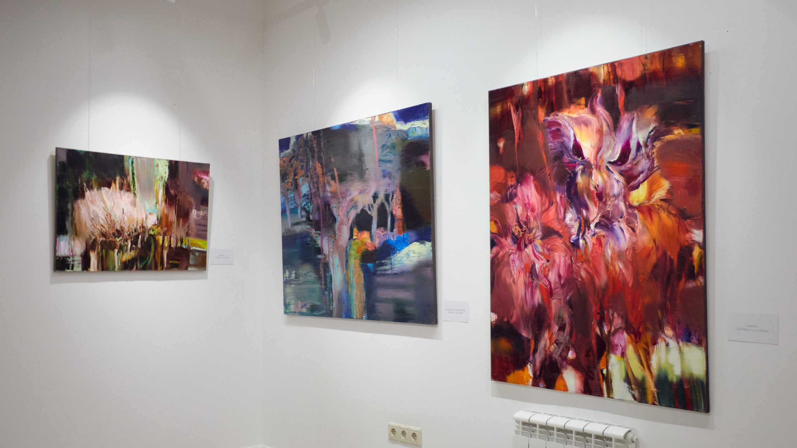 Открытие выставки краснодарской художницы Ларисы Блохиной. Фотограф Юлия Маринина