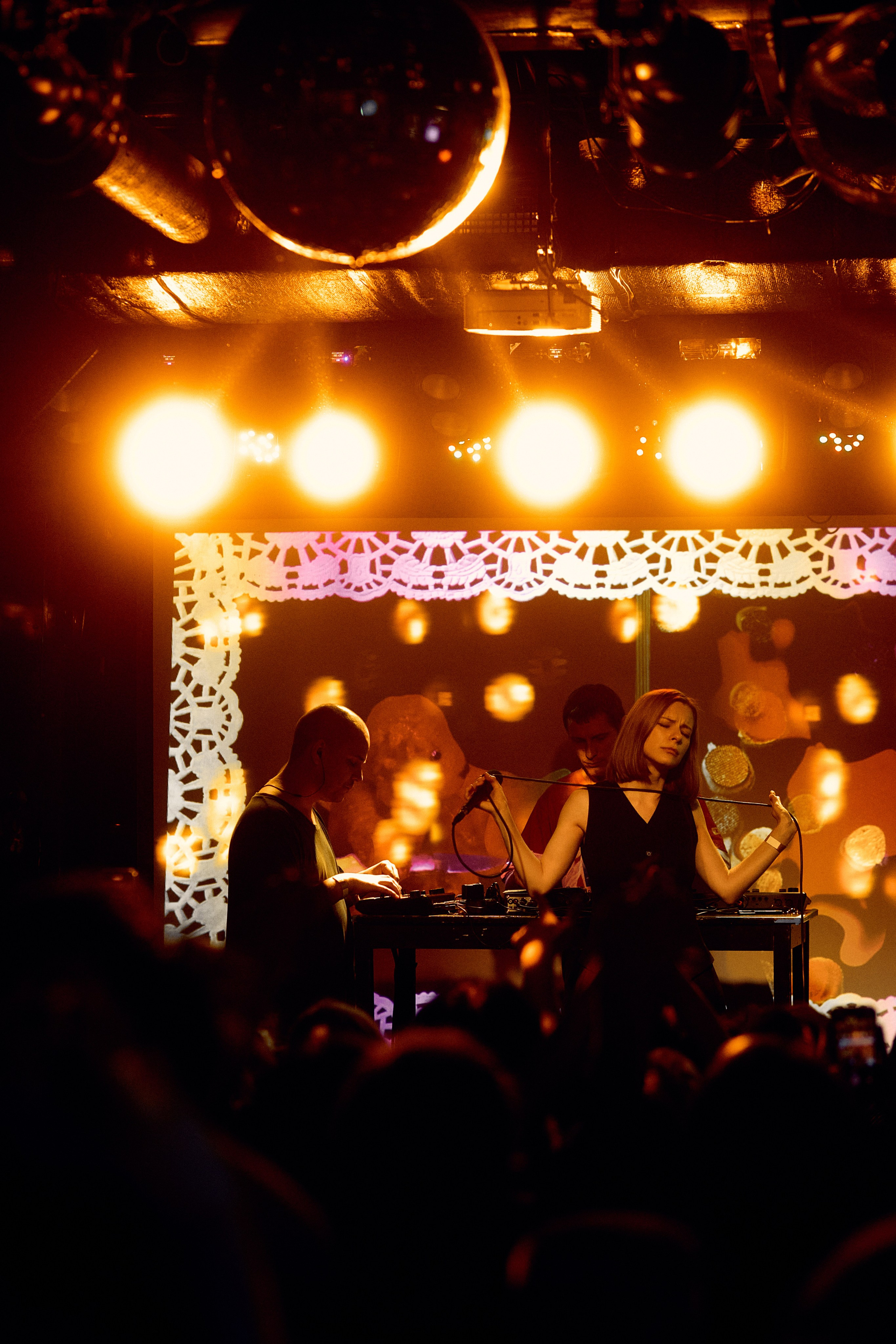 Порез на собаке. Фотограф Юлия Маринина