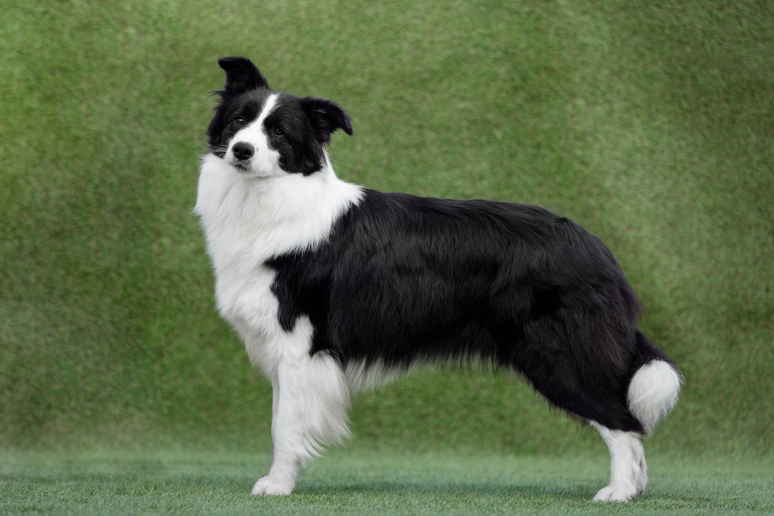 Свое место. О нас