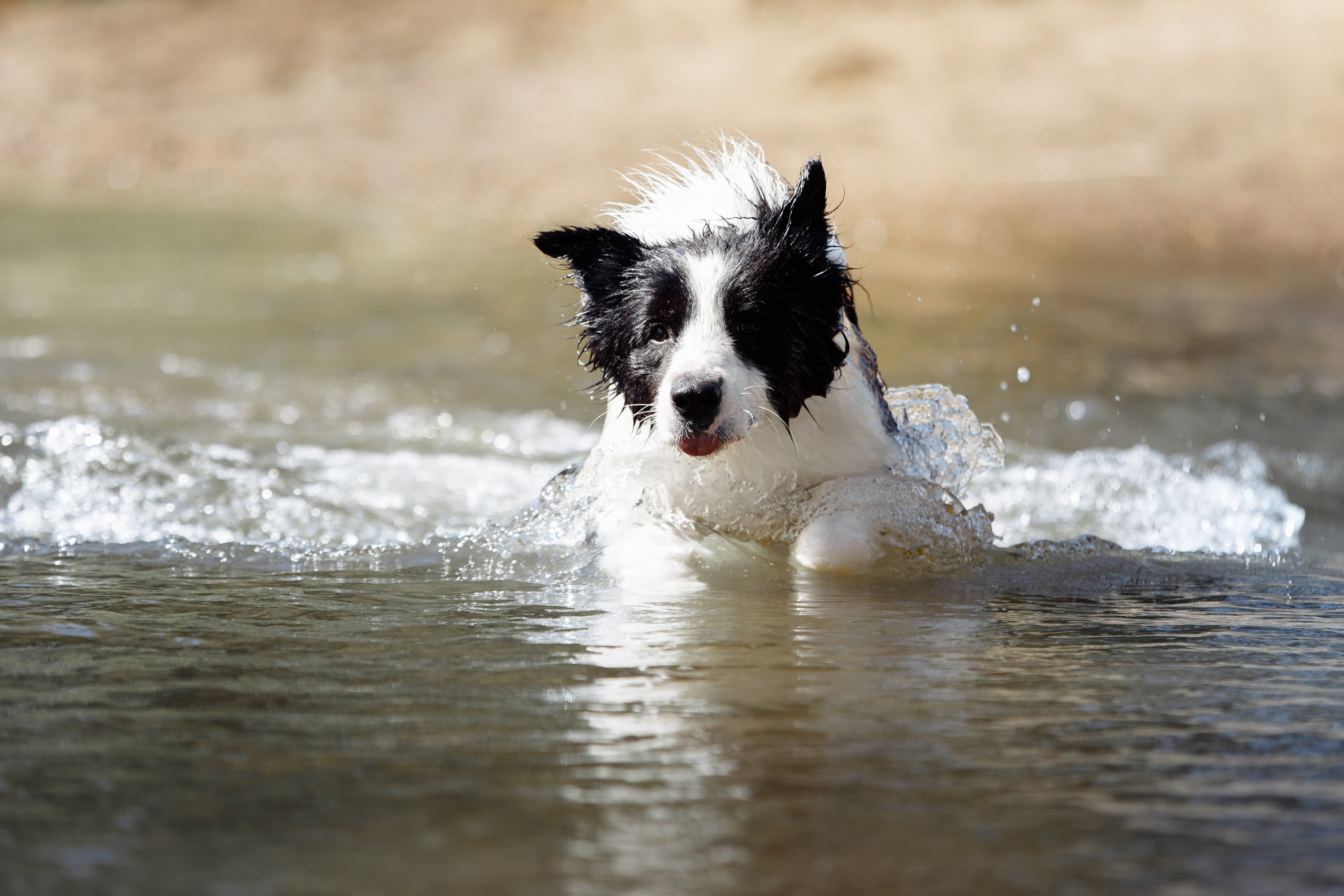Водяные в Новотроицке. О нас