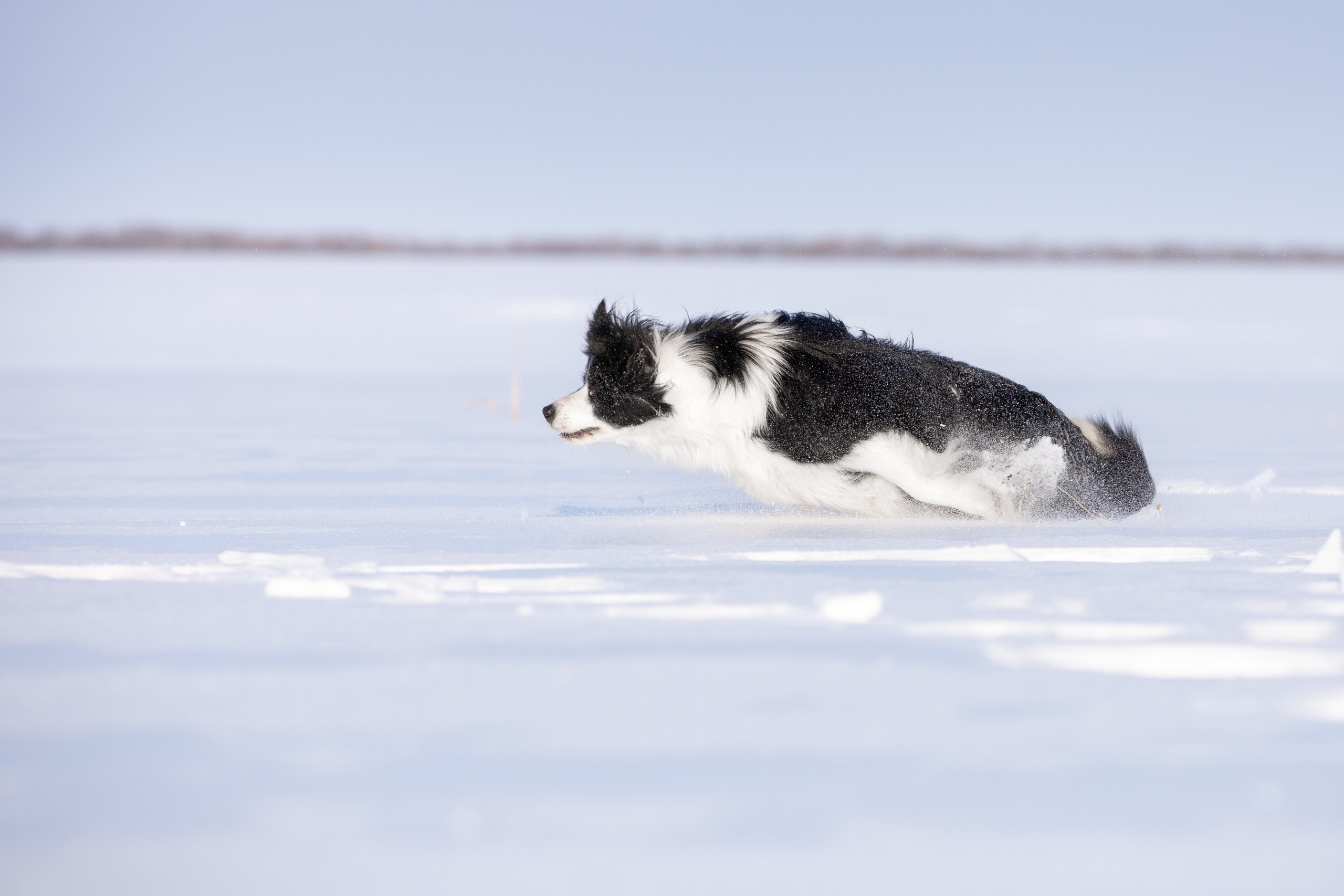 Мороз и солнце. О нас