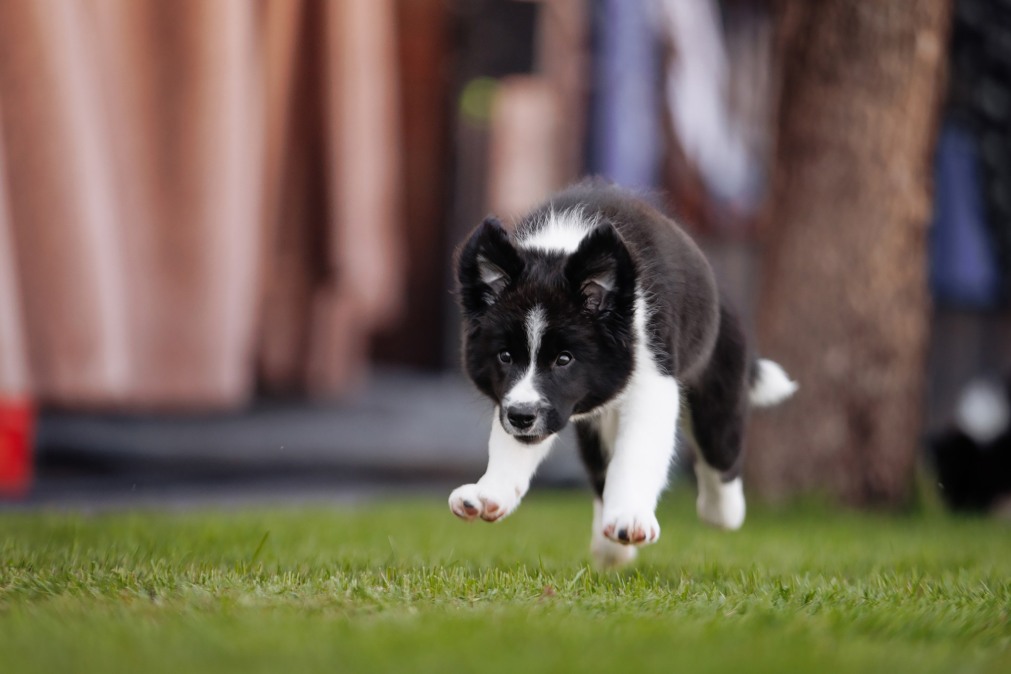 Трава у дома. О нас