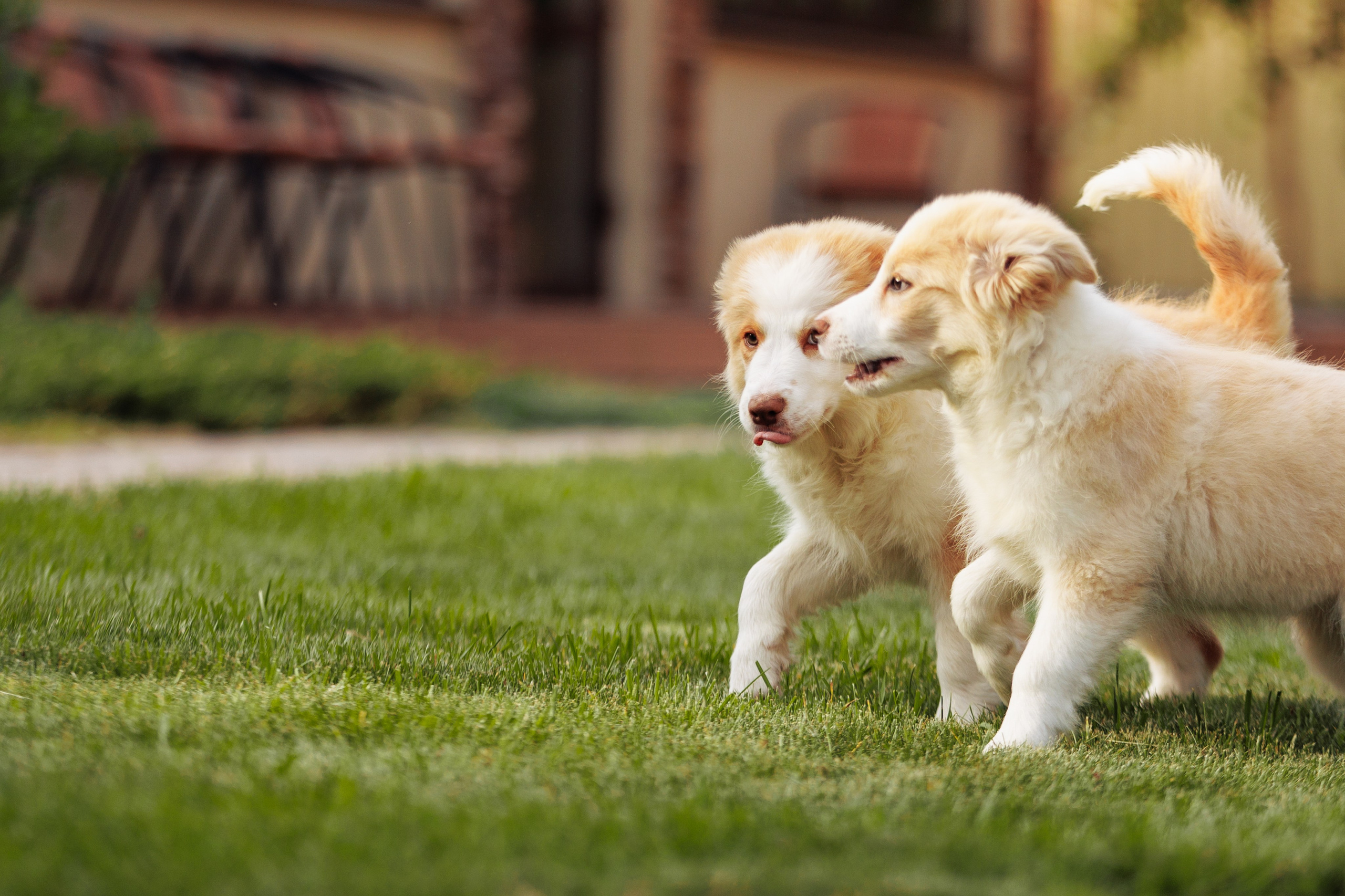 СОлнечные. О нас