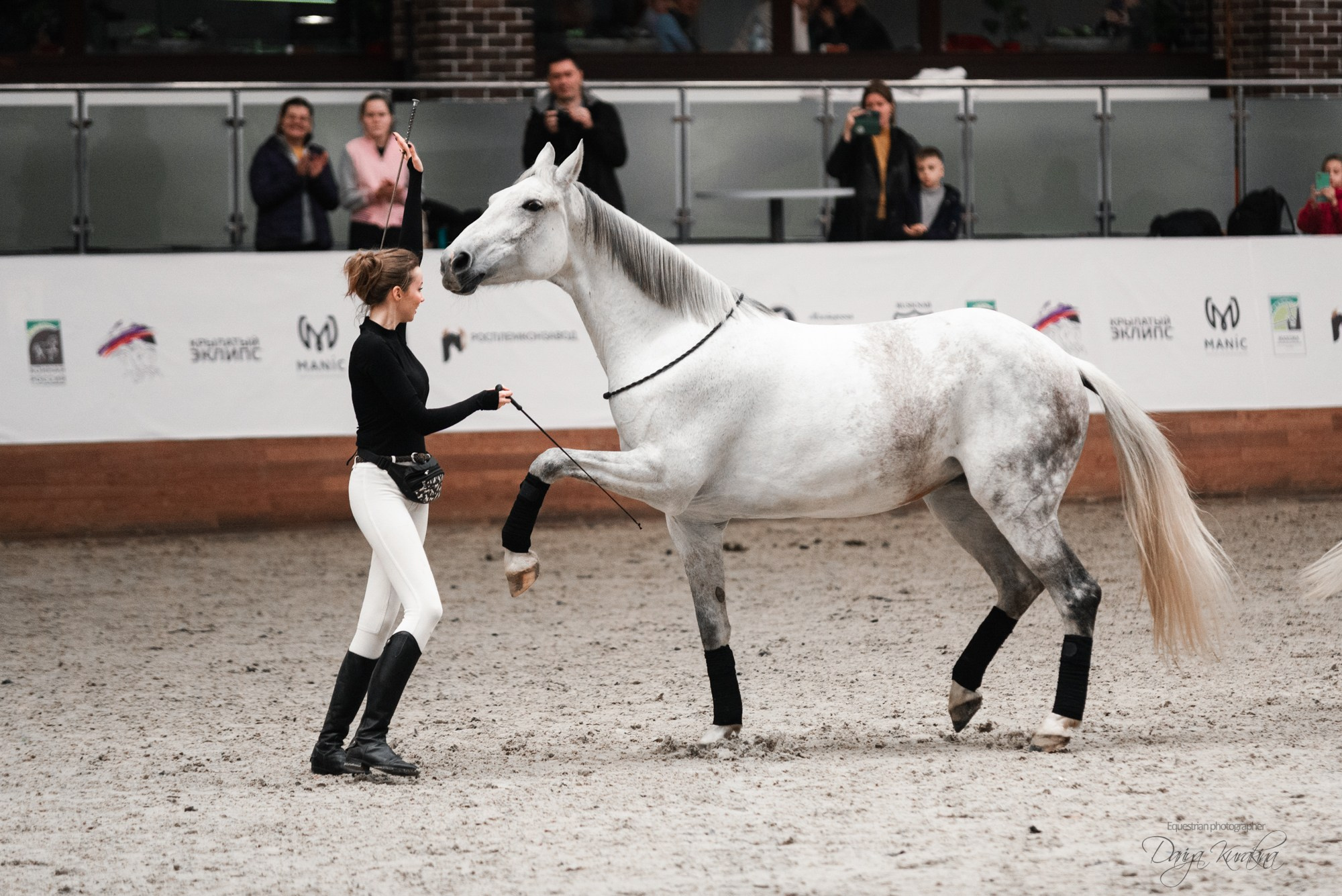 8-я международная выставка Конная Россия. Конный фотограф Куракина Дарья • Фотосессии с лошадьми