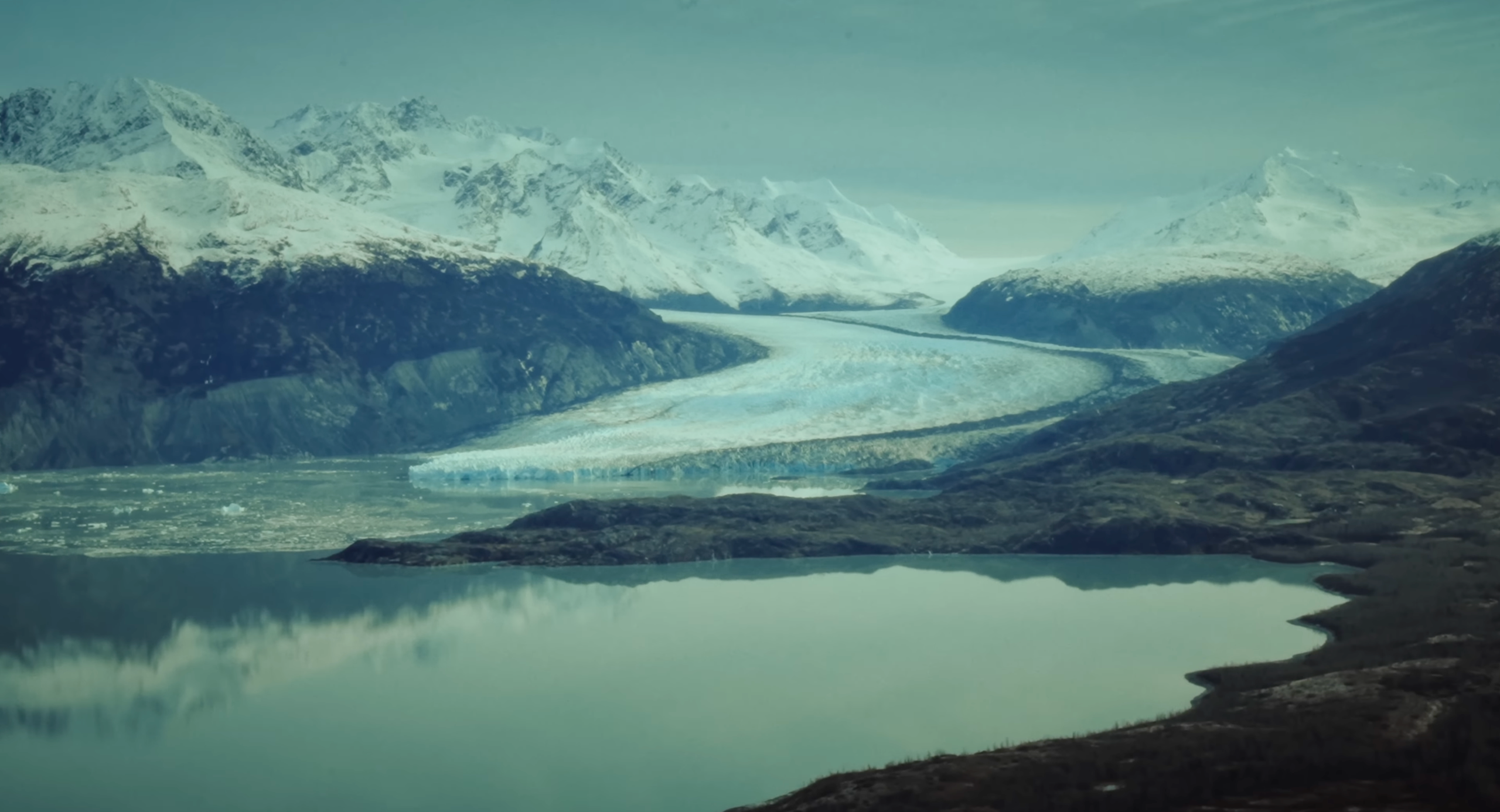 My transformation or how I became homeless in the USA. Tokcolor