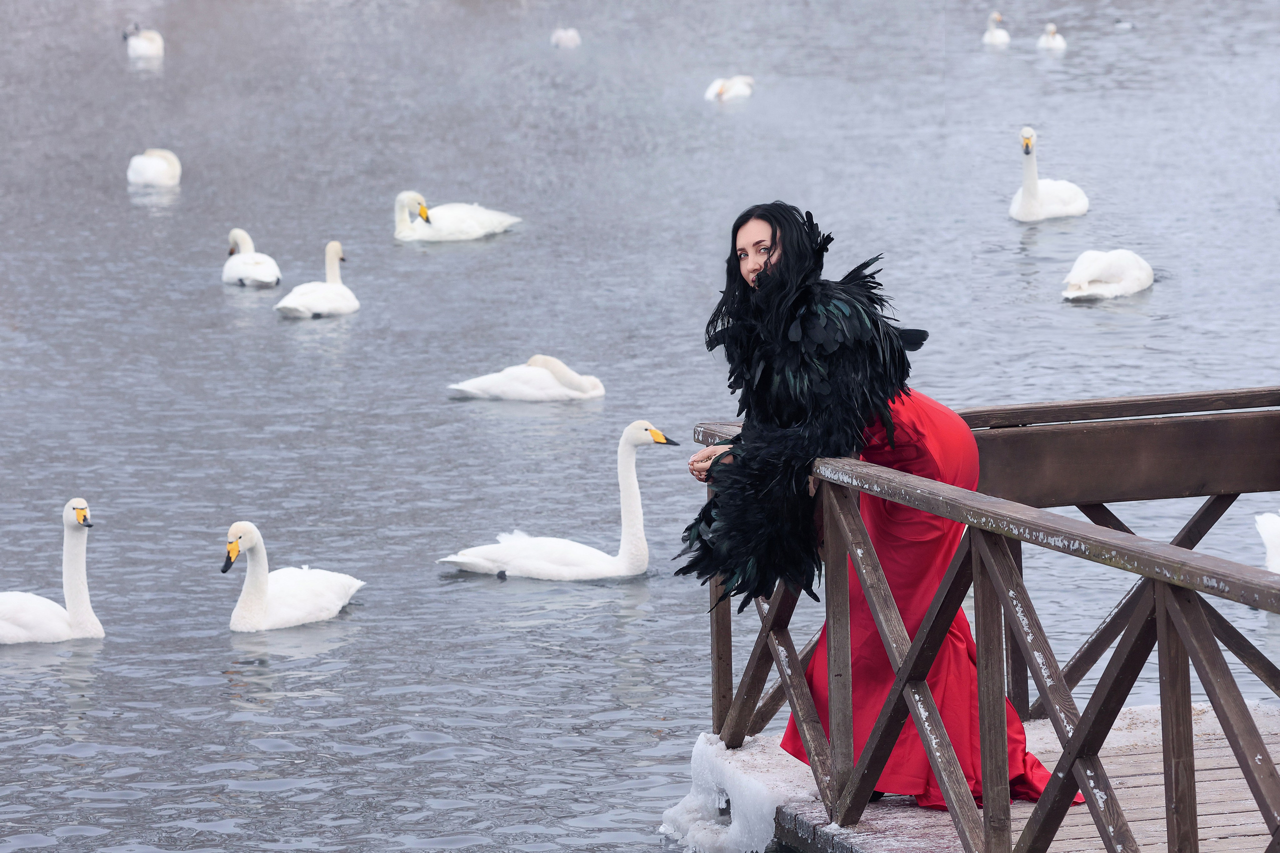 Лебединое озеро. Сказочный фотограф фотопроекты фототуры в Новосибирске и на Алтае