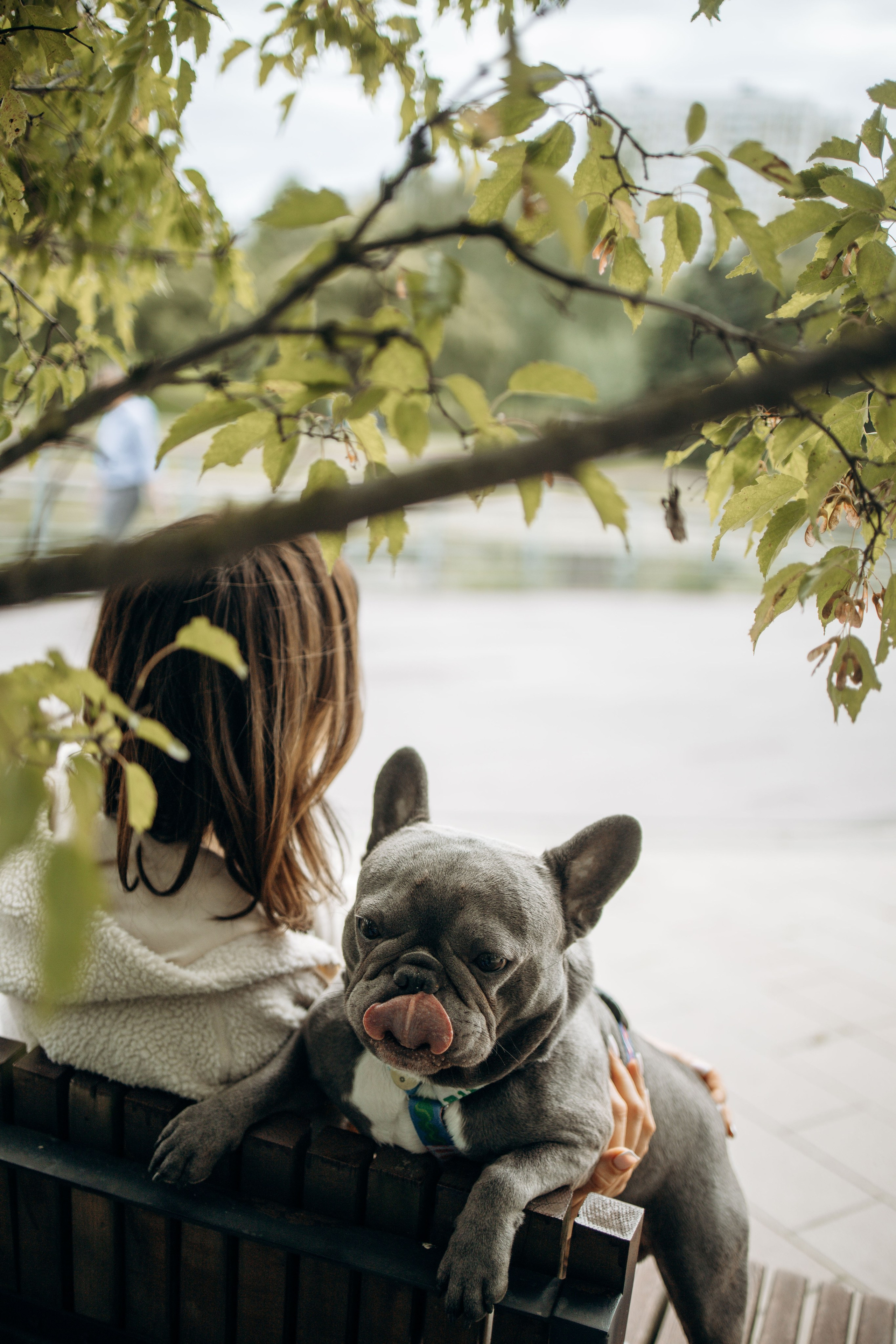 Грей и его семья