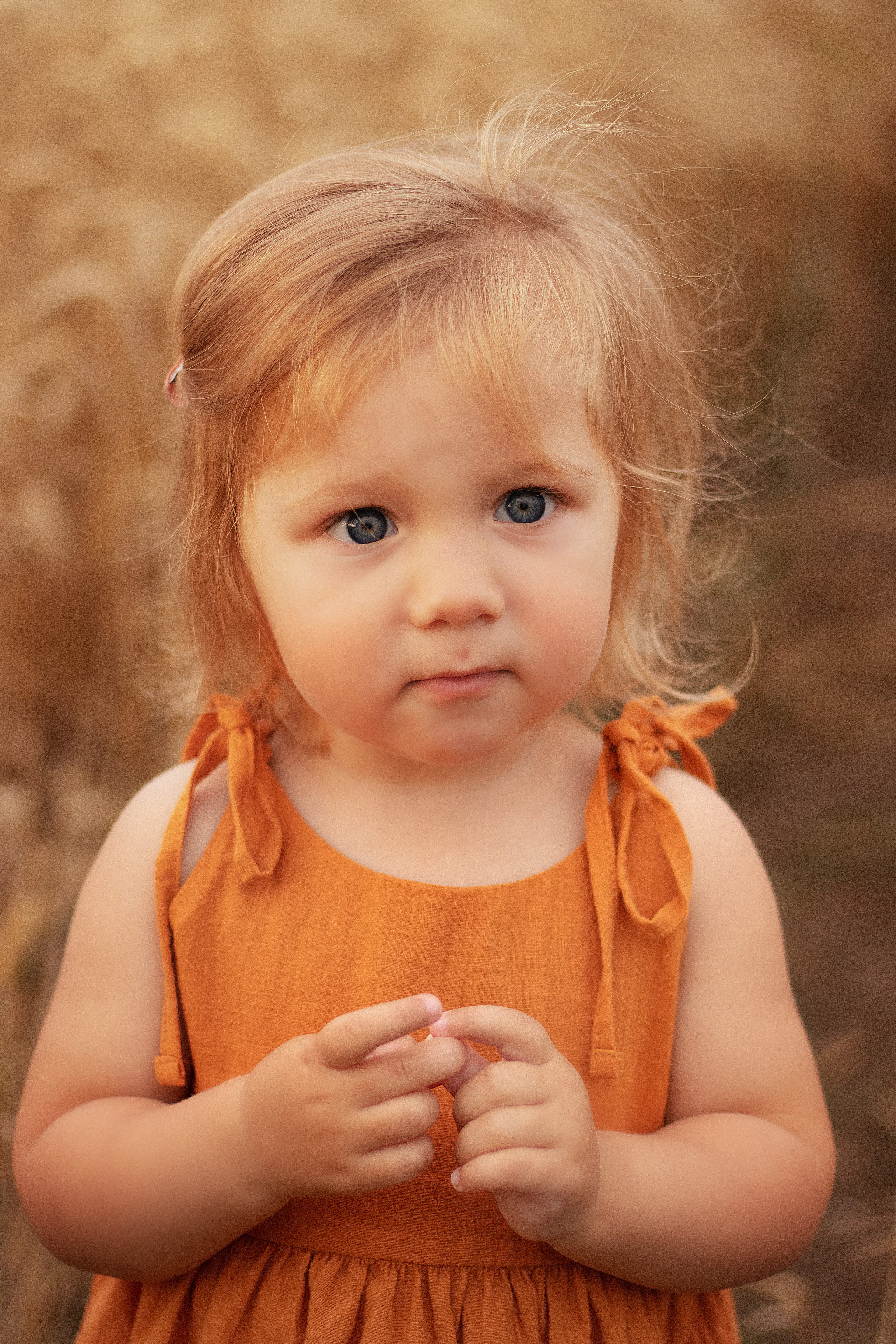 Злаки. Контент-фотограф в Калининграде (Москве) Наталья Кеворкова