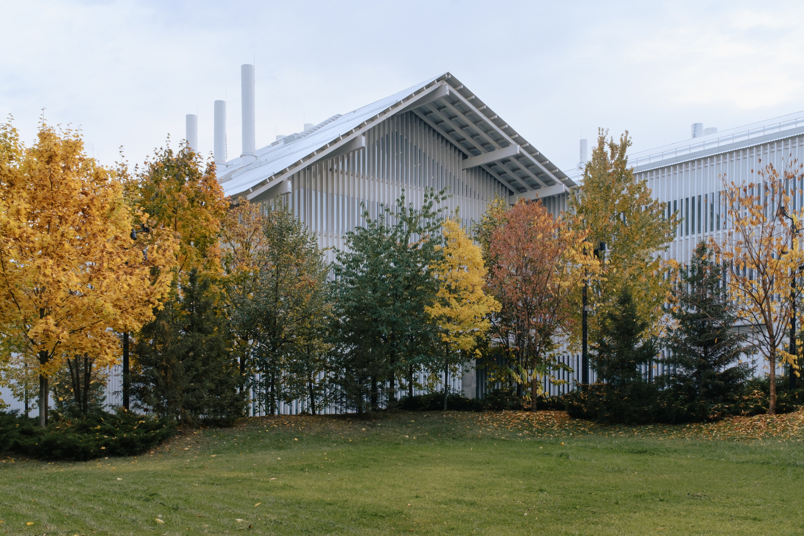 Сколтех, 2025. Фотограф и исследователь городской среды Ксения Русс