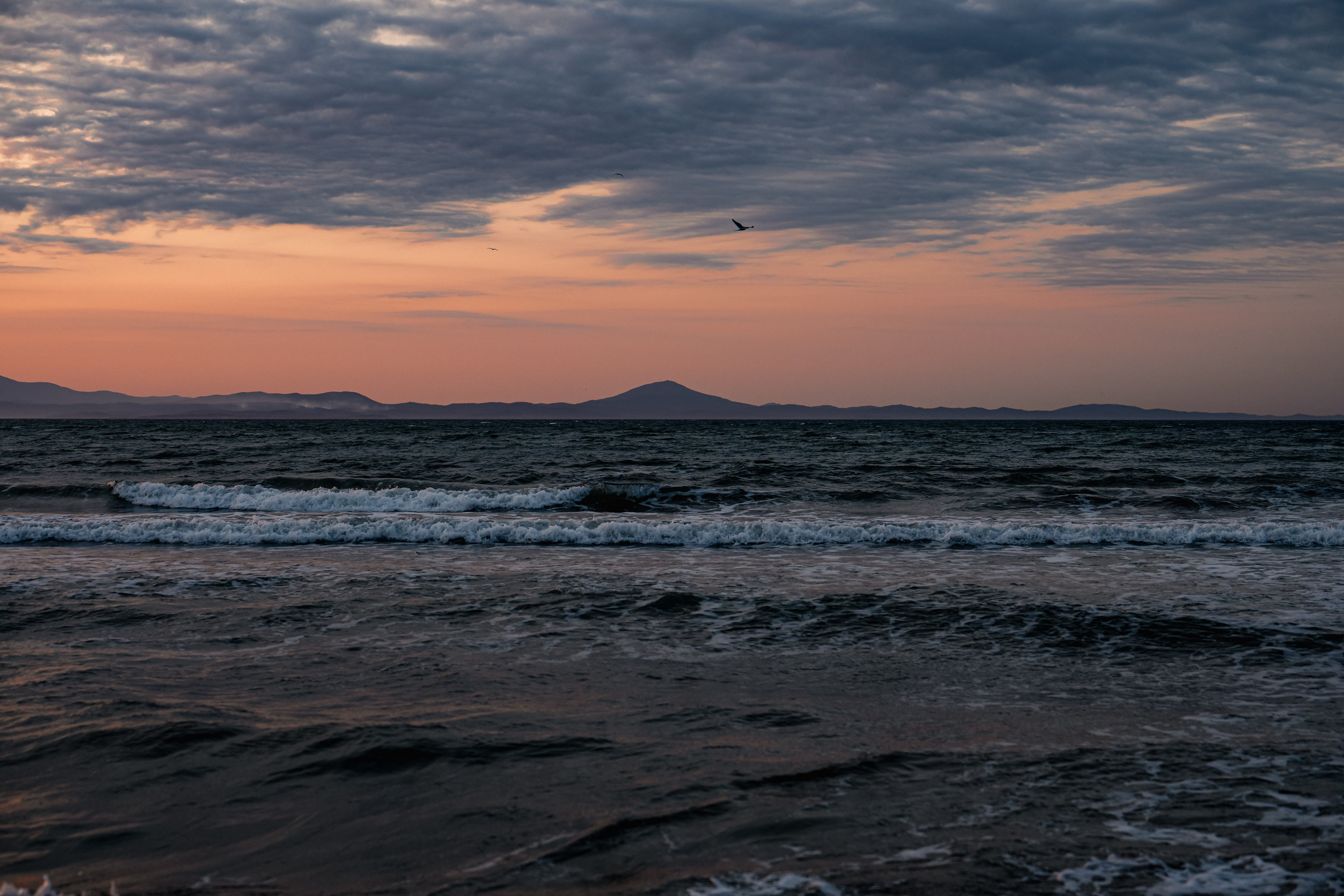 海洋之星酒店. Ivan Zaitsev (IZIART) — 通过照片和视频创建文化代码