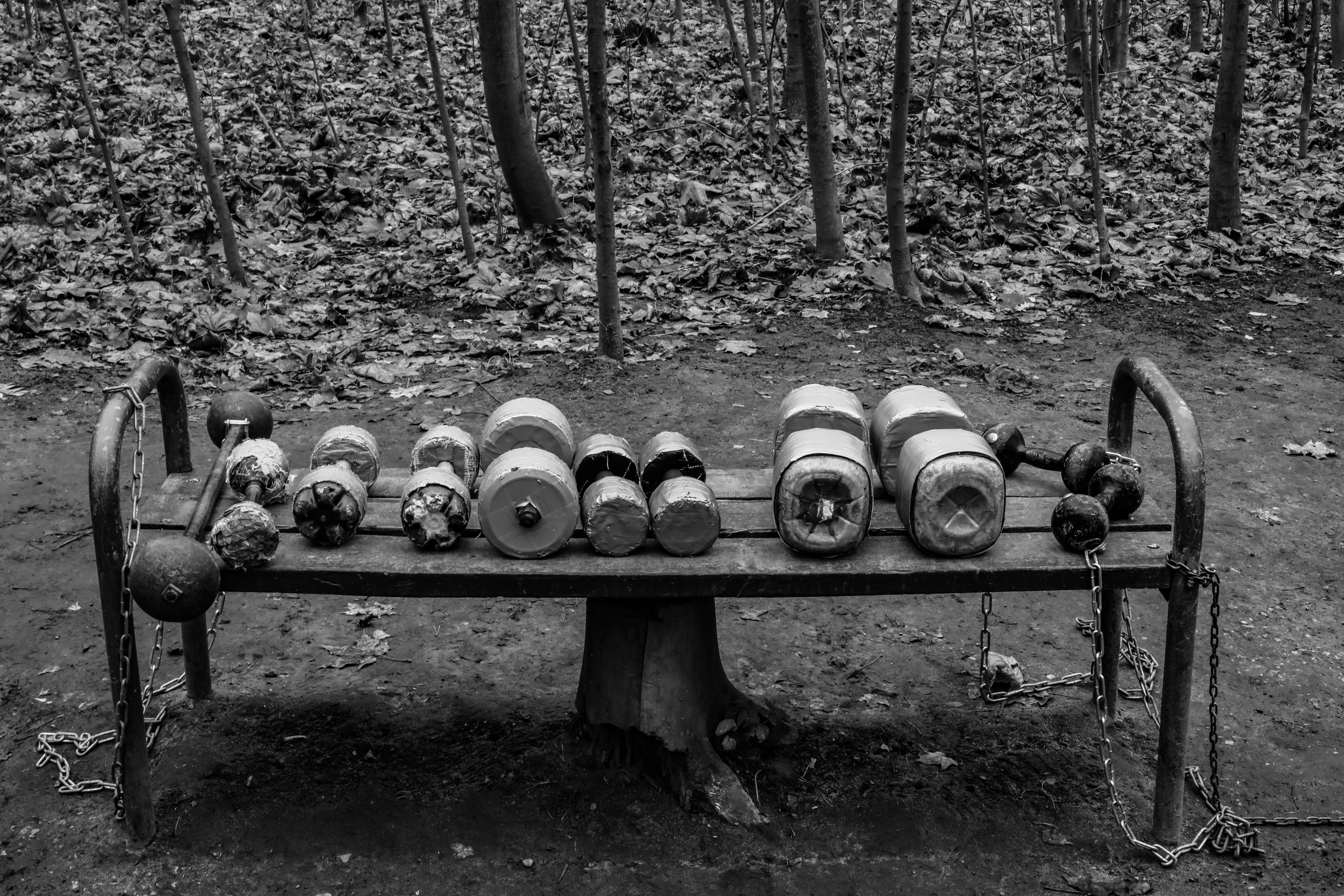 Качалка в лесу — 2022. Стас Привалов