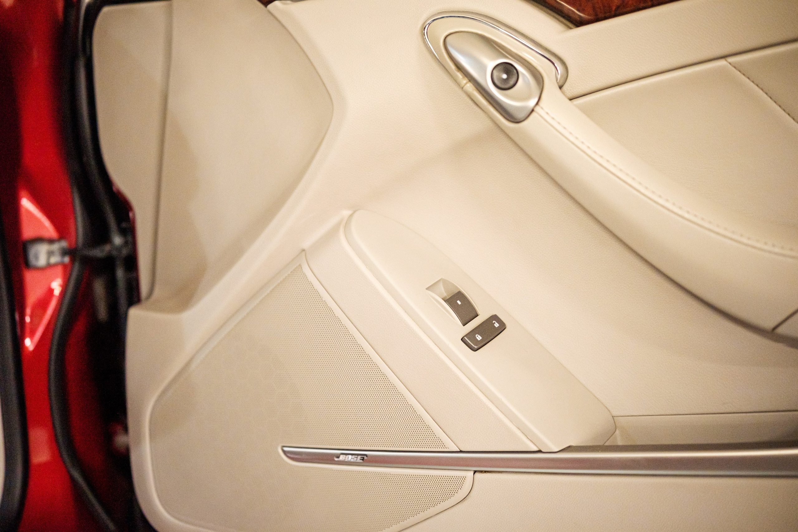 Кэдди. Алексей Никифоров фотограф Москва, Химки