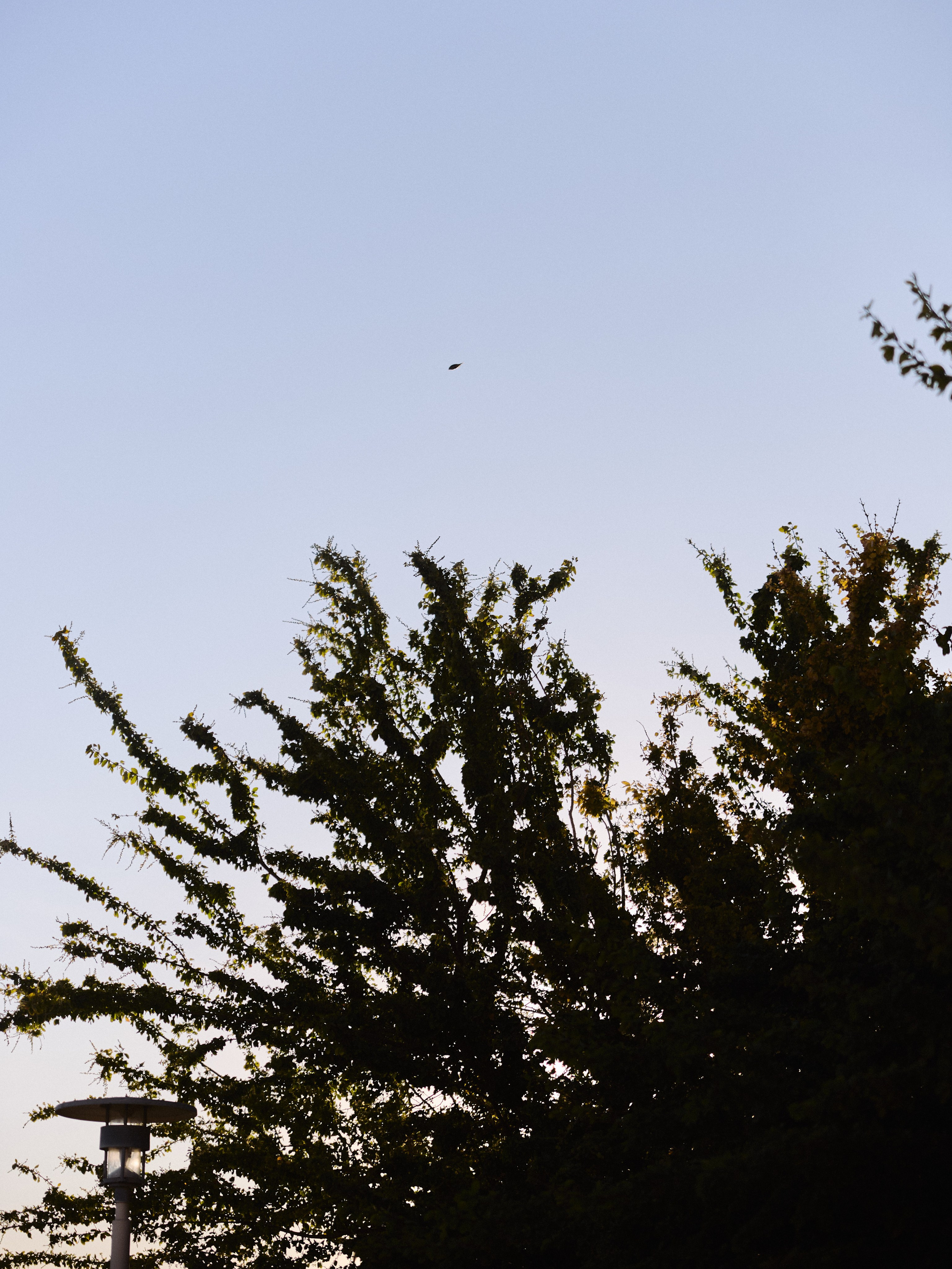 Природа. Jorgis Talè — photographer, kind person, teacher of arts and other mag