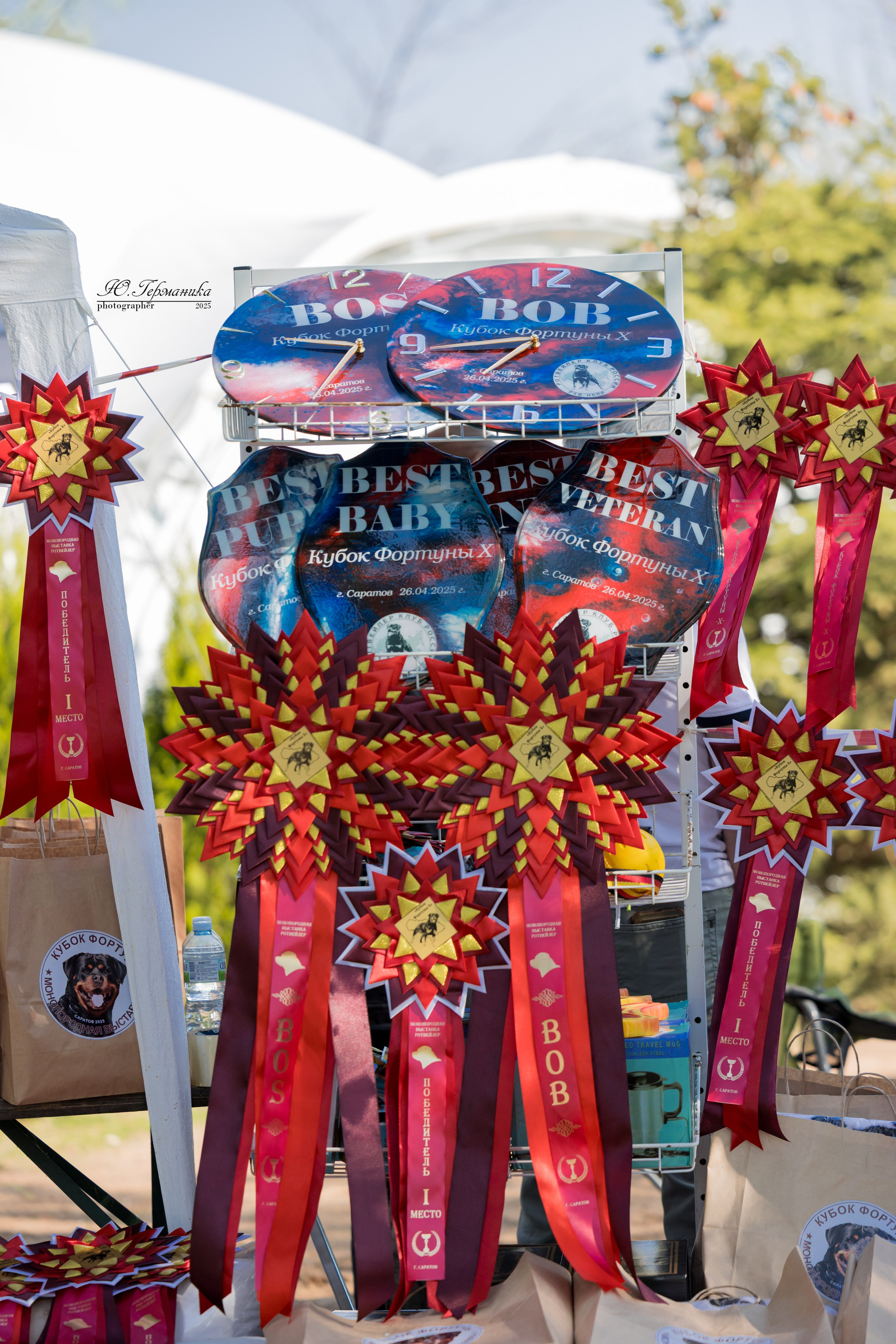 Саратов моно ротвейлеров 26-27.04.2025. Фотограф-анималист Юлия Германика