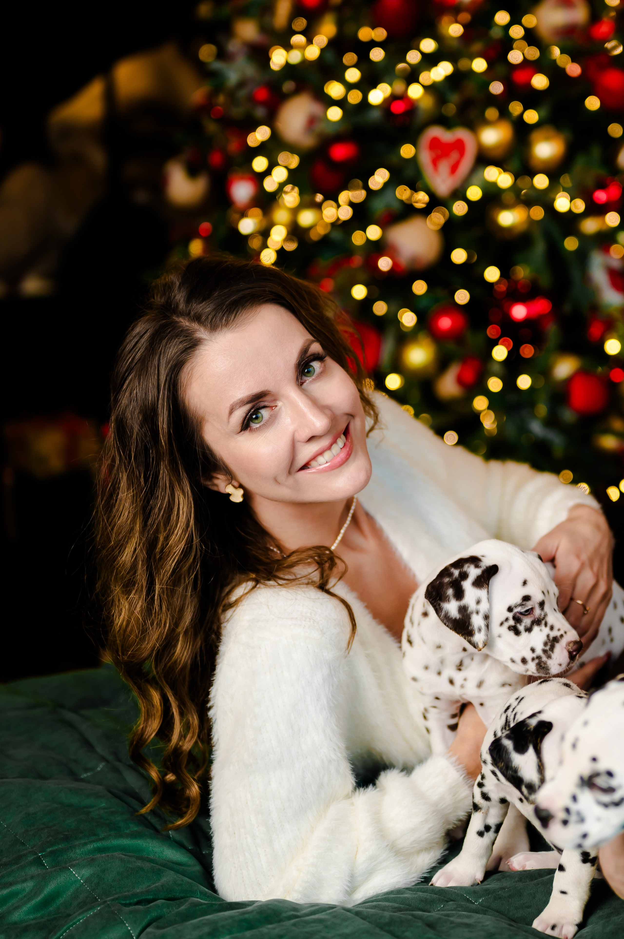 Фотосессия с далматинцами. Свадебный и семейный фотограф Евгения Кононова