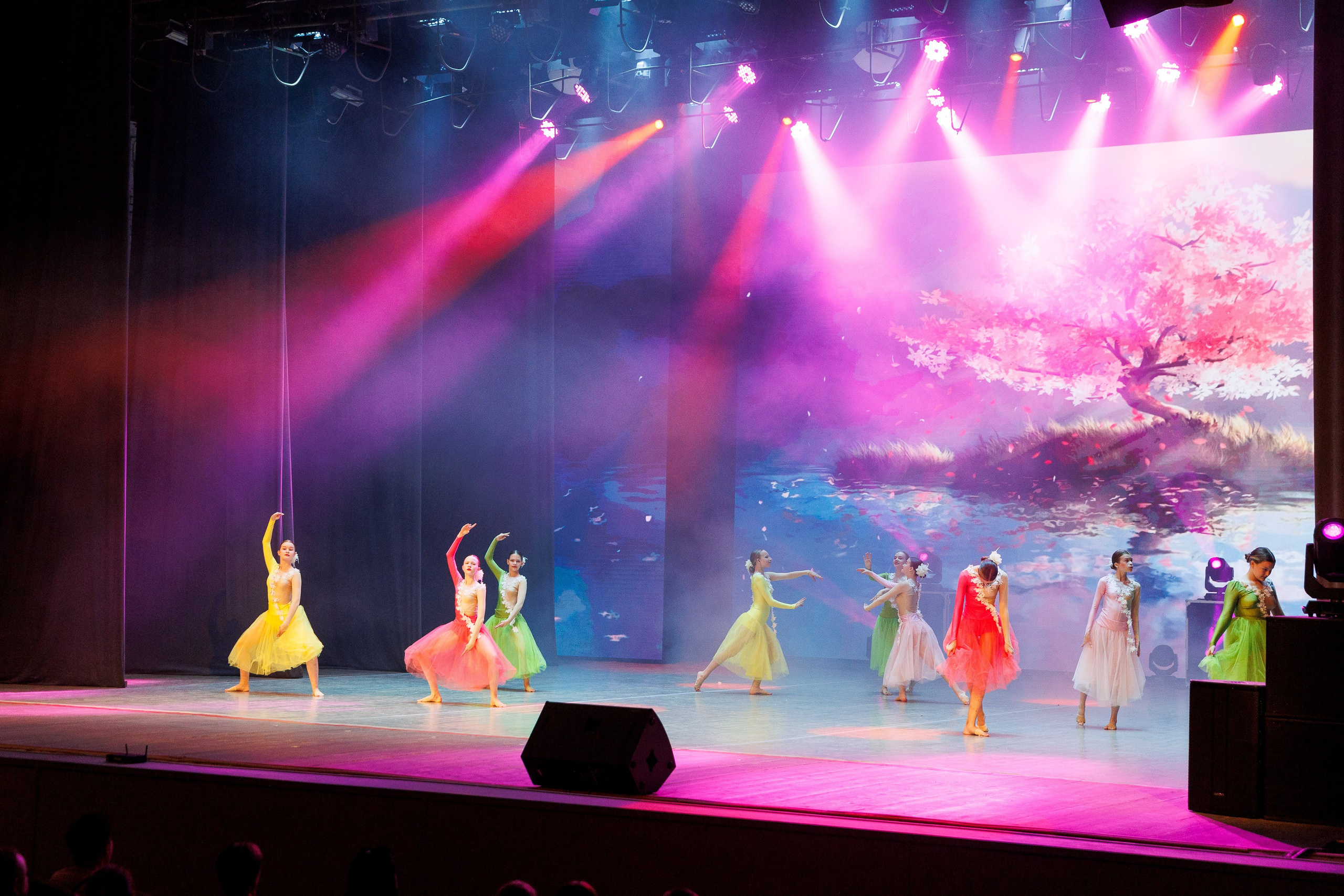 Мультикидс. Отчетный концерт. Фотограф Шейдаев Эмин г. Волгоград