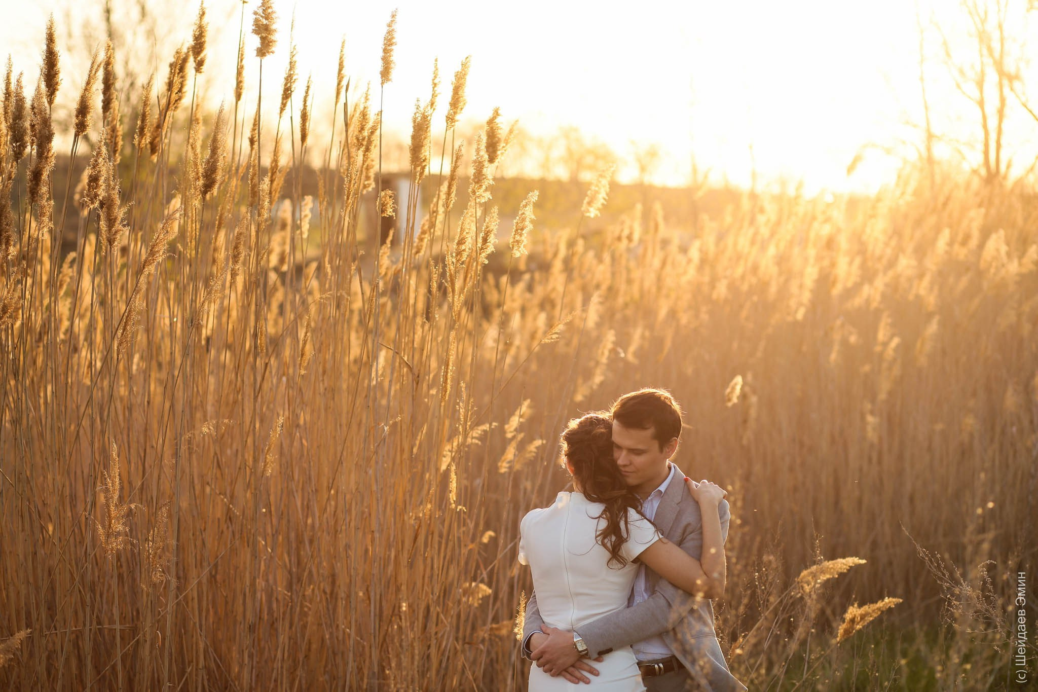 Свадебное портфолио. Фотограф Шейдаев Эмин г. Волгоград