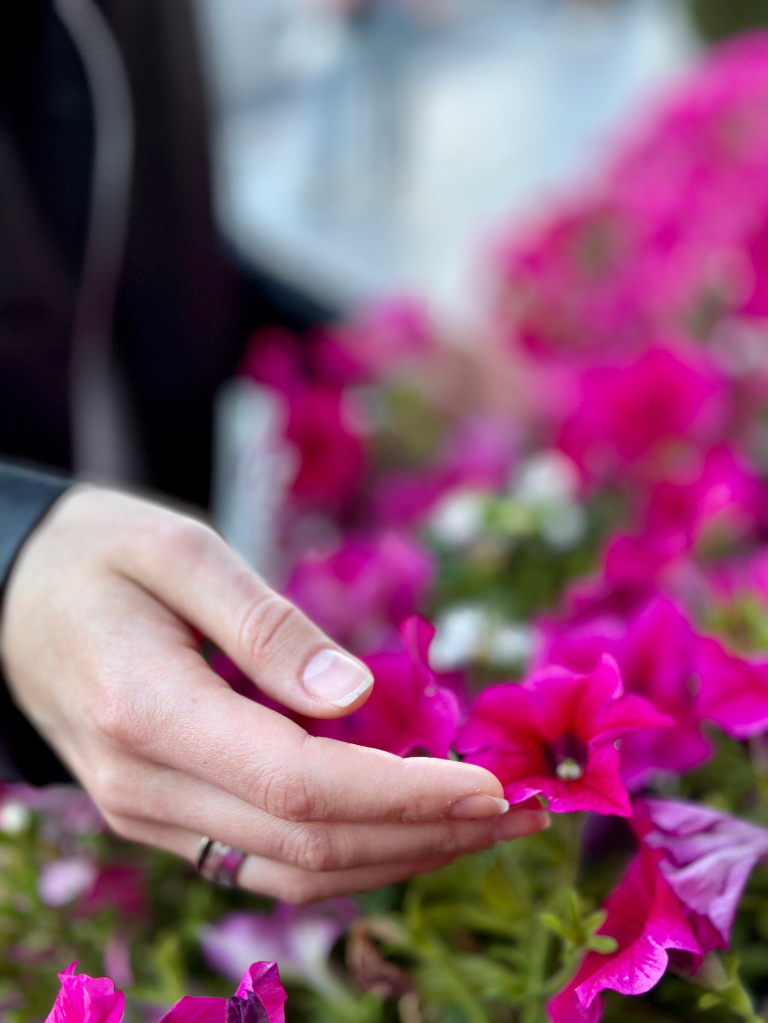 Прогулка Астория — Зеркальный дворик — Новая Голландия. КОНТЕНТ |БРЕНД фотограф Санкт-Петербург — Жанна Олтаржевская