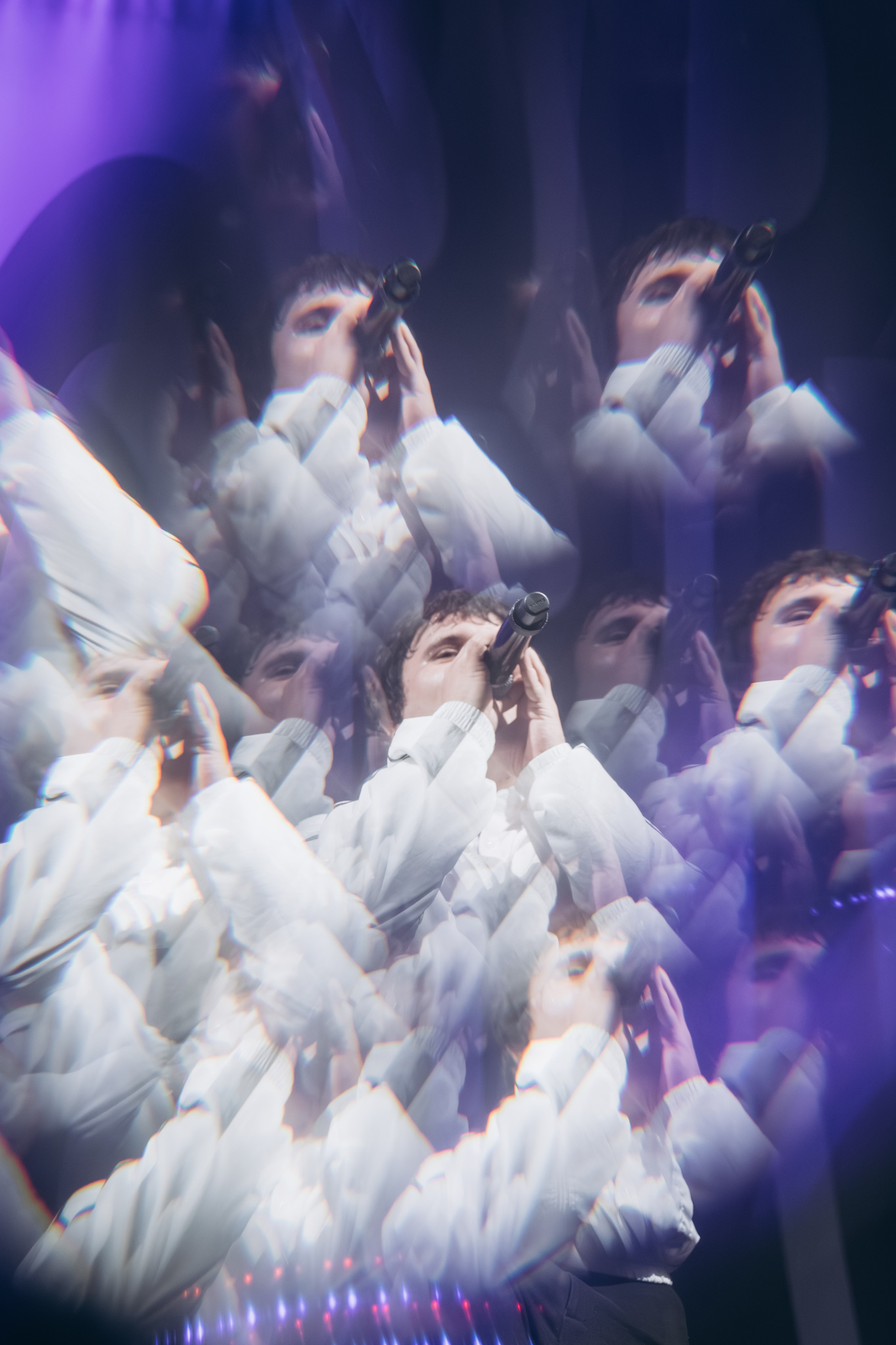 SALUKI. Фотограф Санкт-Петербурга