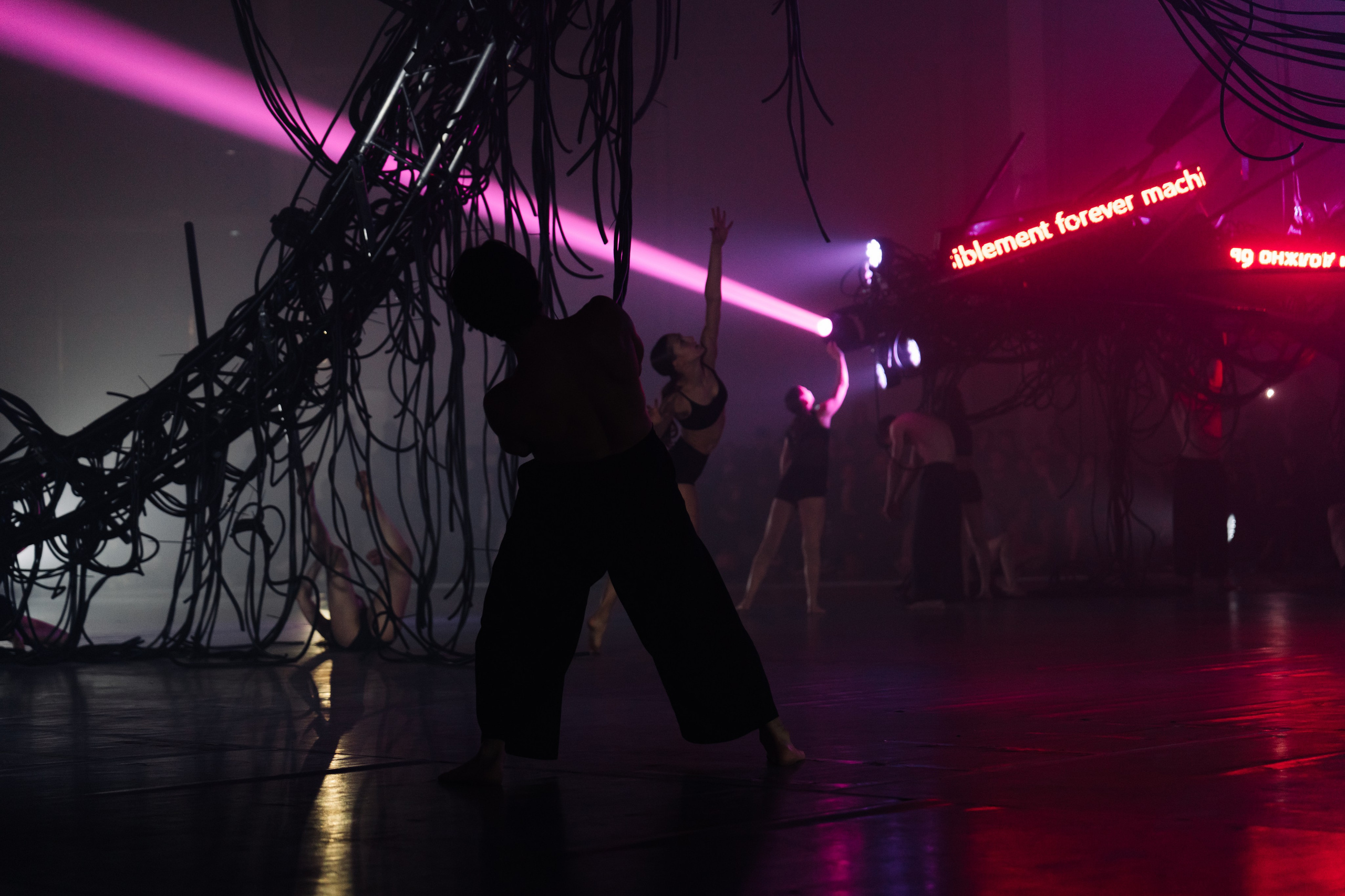 PERFORMA, The Hour of the Horse. @tomrus: Рустам Шагиморданов — фотограф